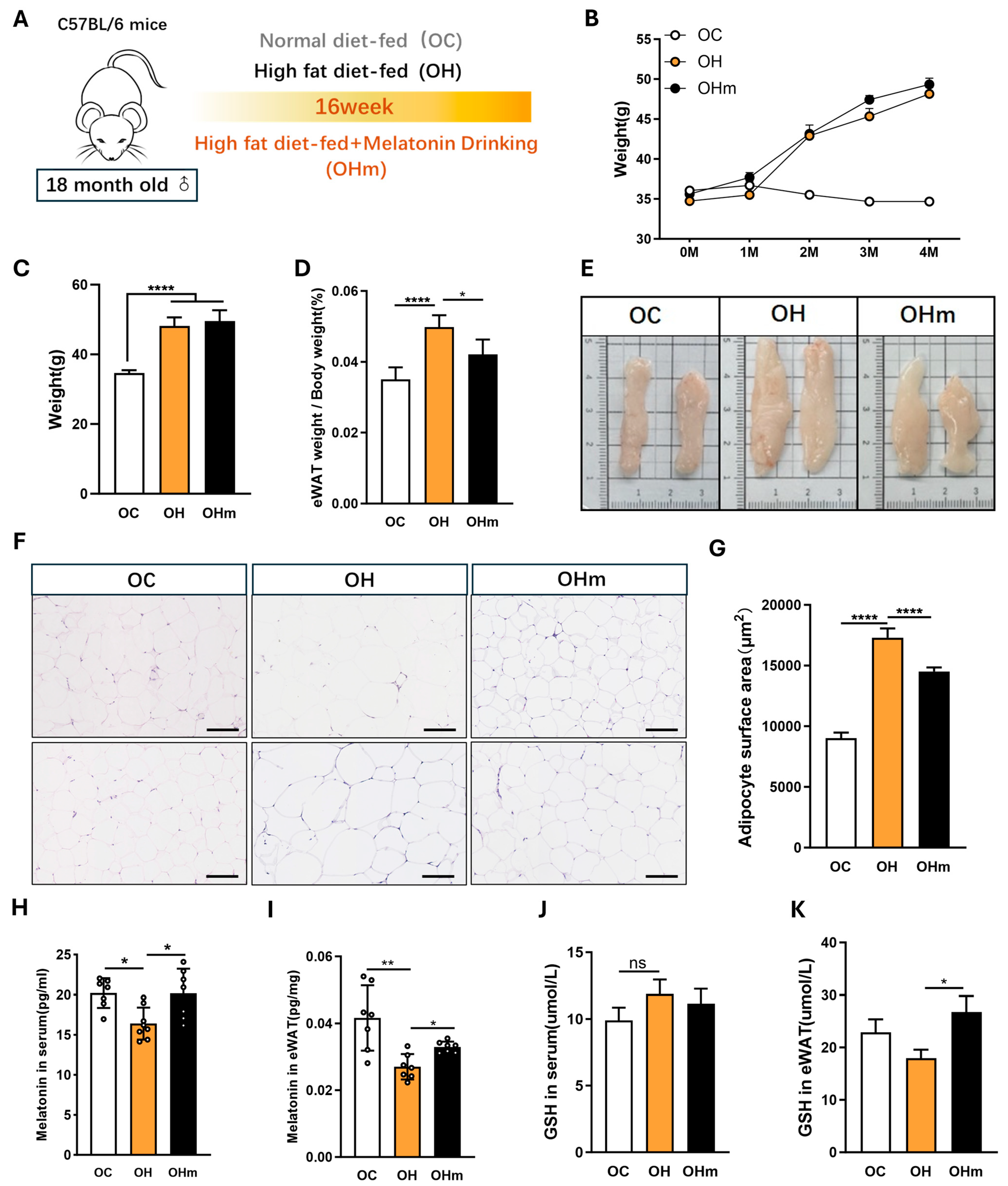 Antioxidants 13 01500 g005 Antioxidants 13 01500 g005