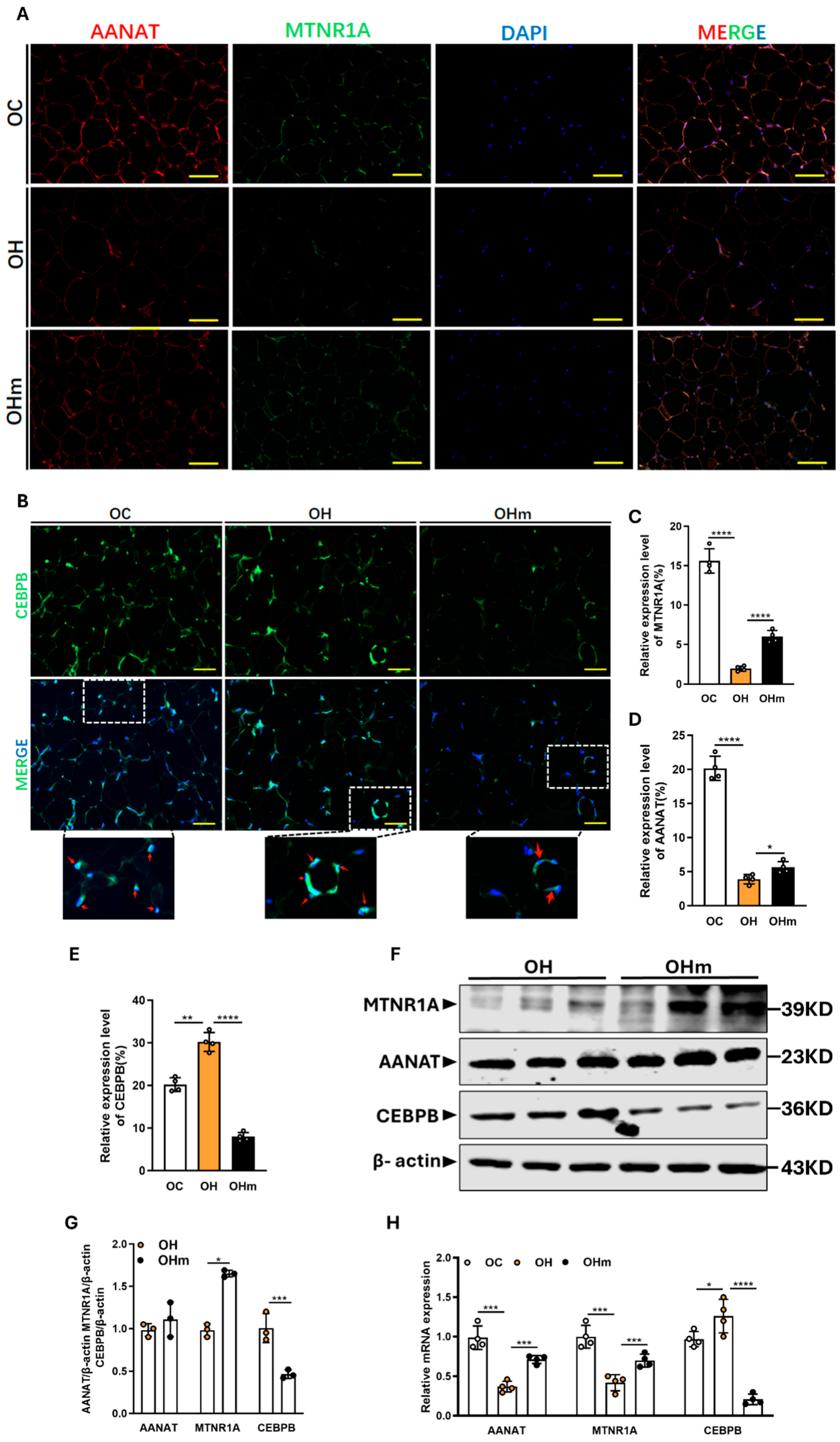Antioxidants 13 01500 g006 Antioxidants 13 01500 g006