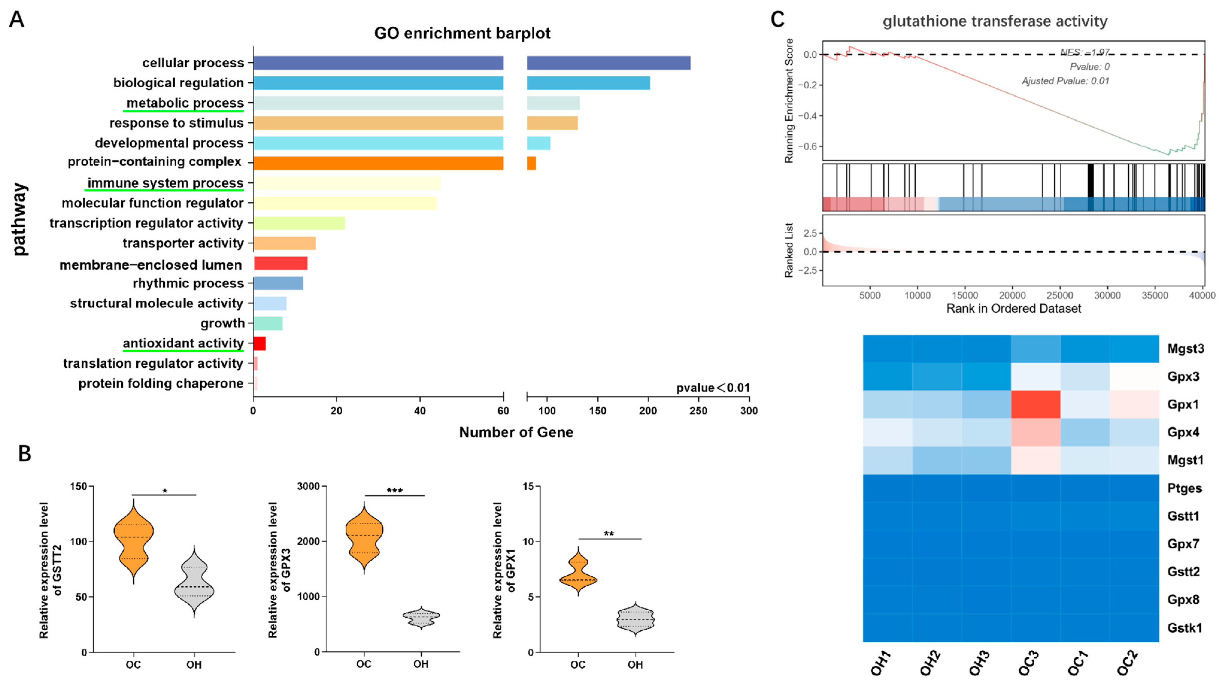 Antioxidants 13 01500 g0a2 Antioxidants 13 01500 g0a2