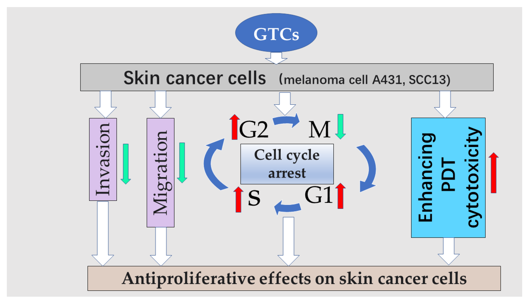 Antioxidants 13 01506 g002 Antioxidants 13 01506 g002