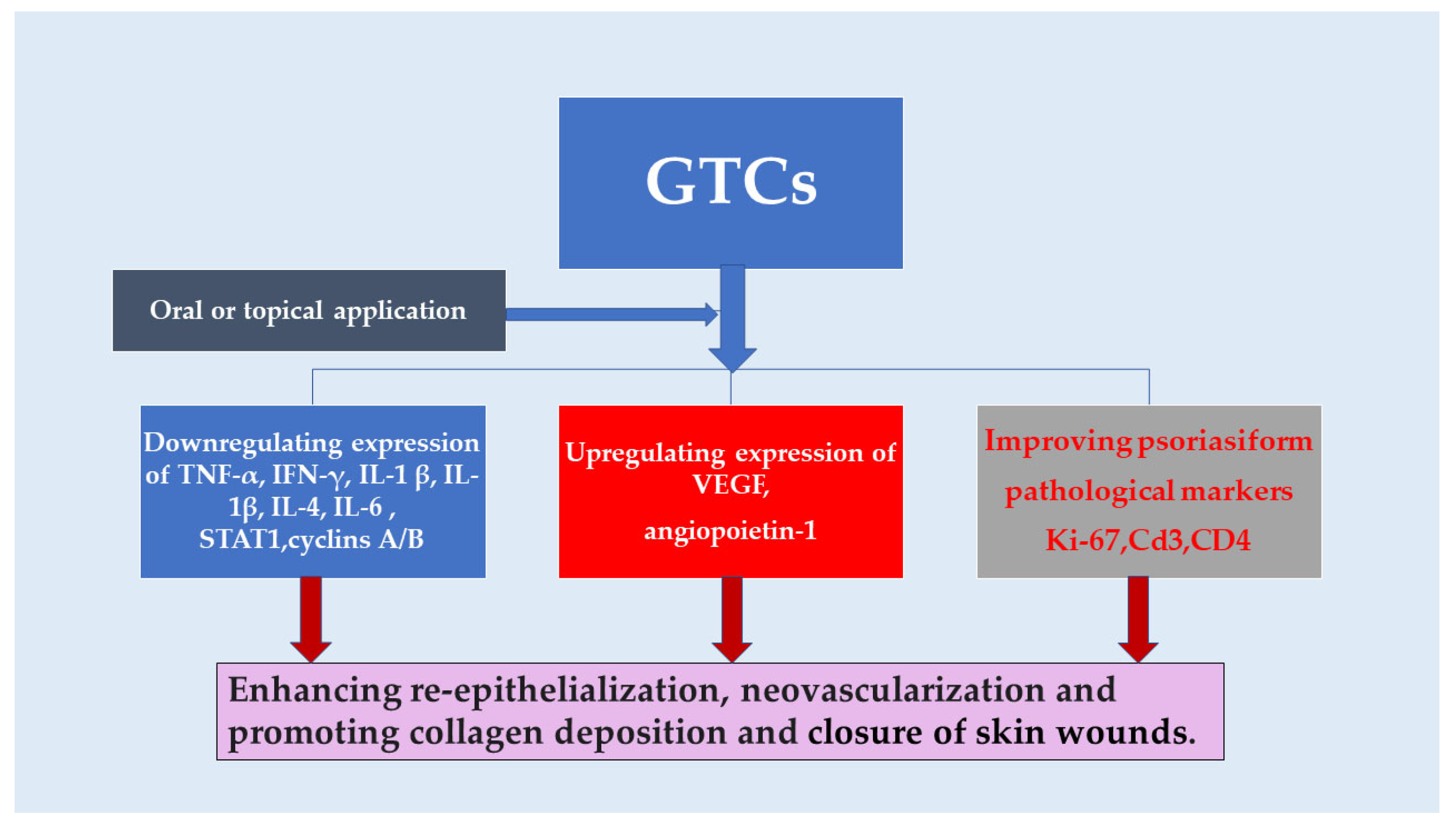 Antioxidants 13 01506 g003 Antioxidants 13 01506 g003