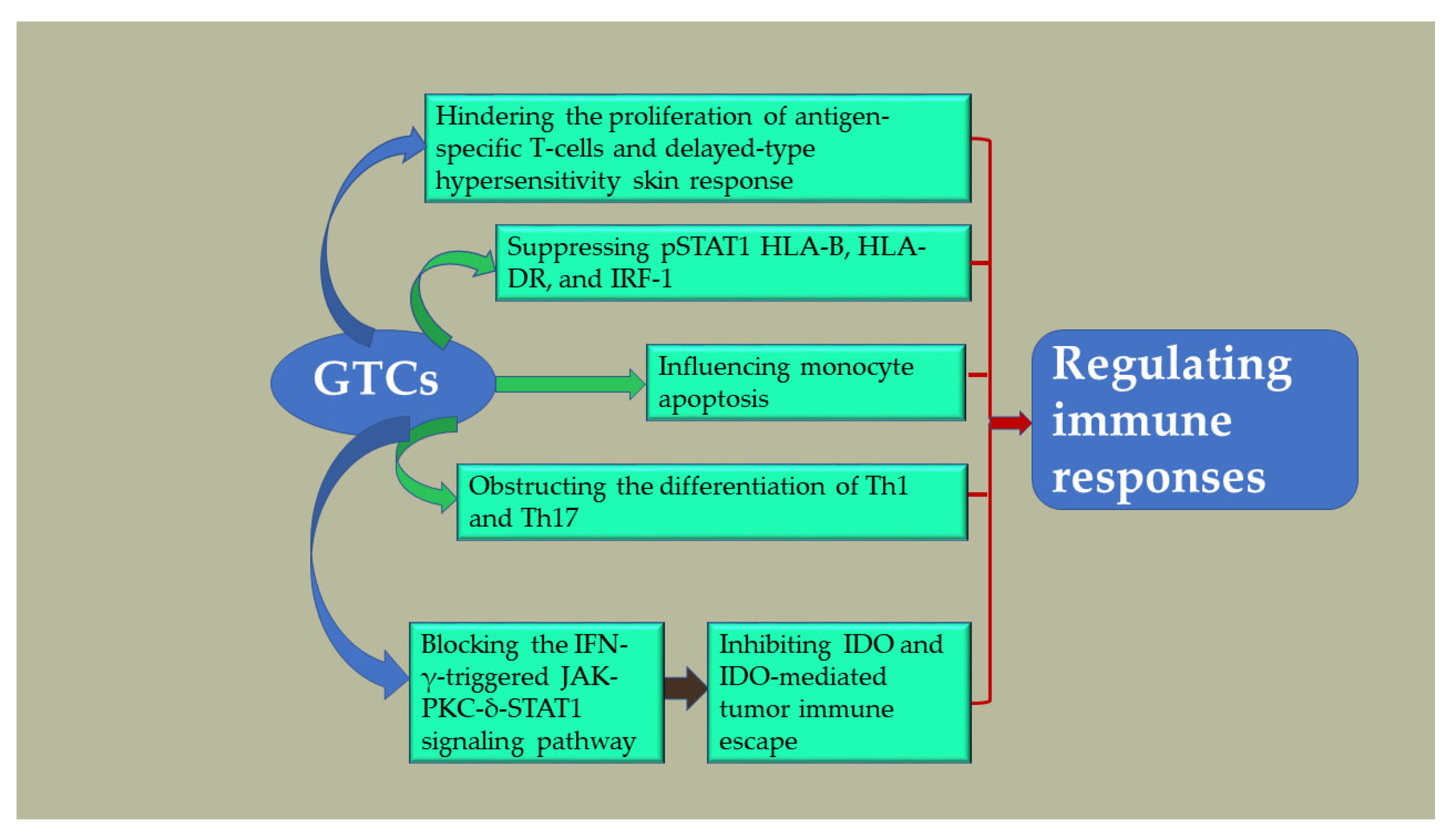 Antioxidants 13 01506 g006 Antioxidants 13 01506 g006