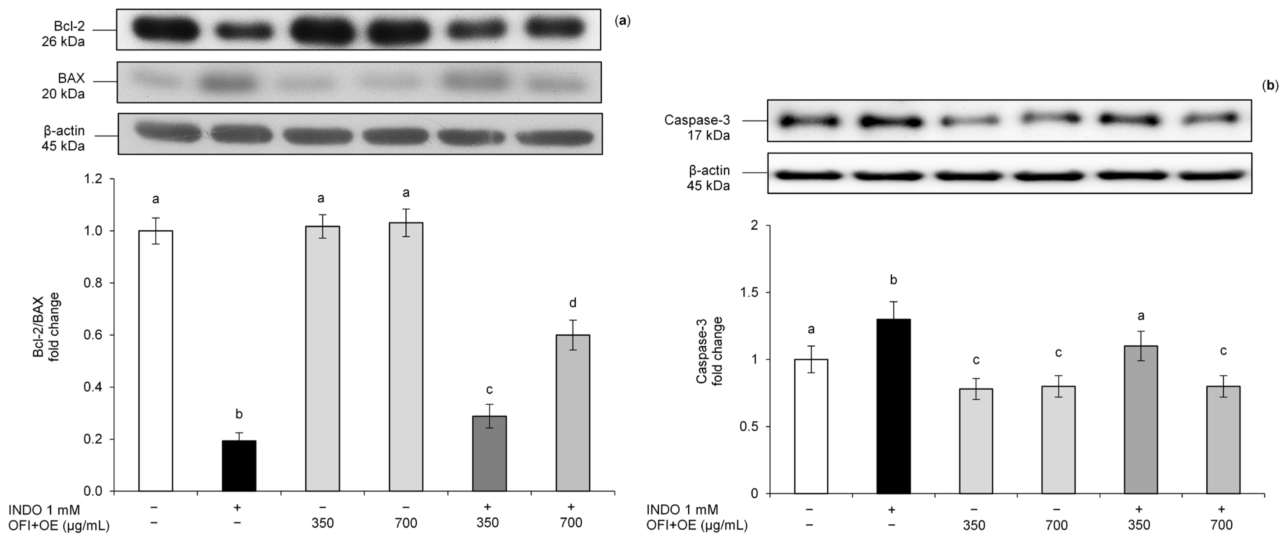 Antioxidants 13 01507 g006