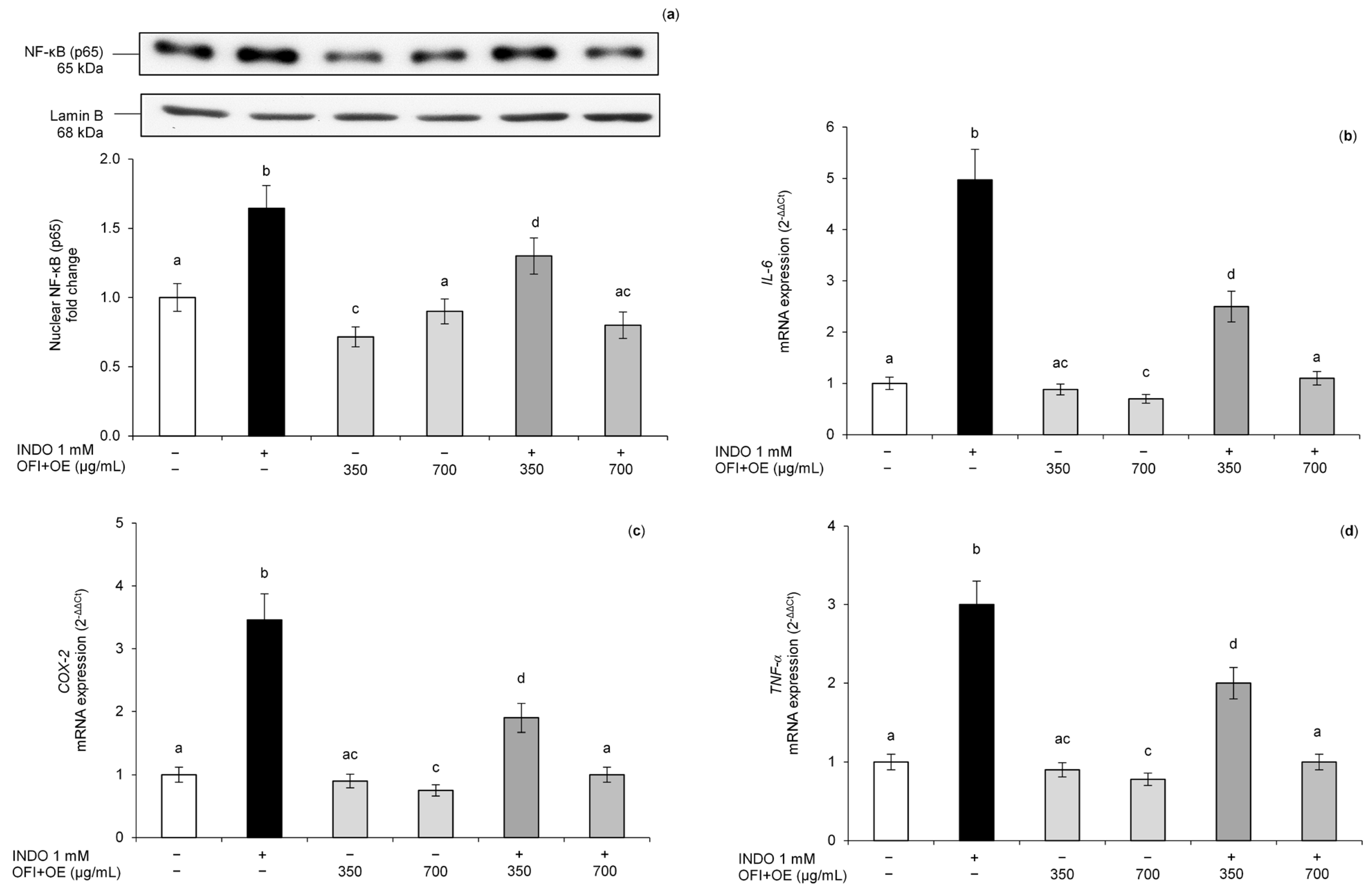 Antioxidants 13 01507 g007