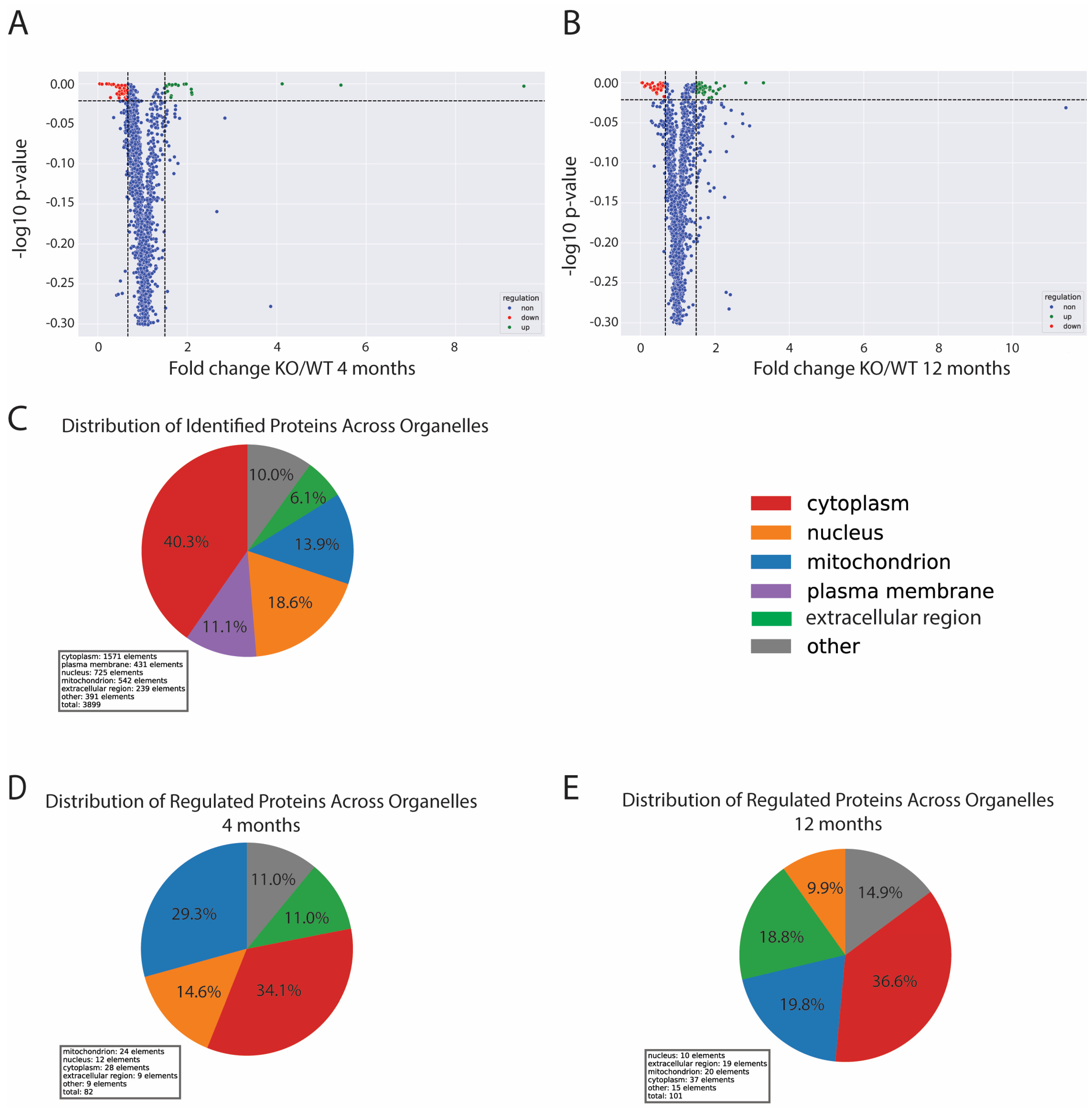 Antioxidants 13 01509 g003