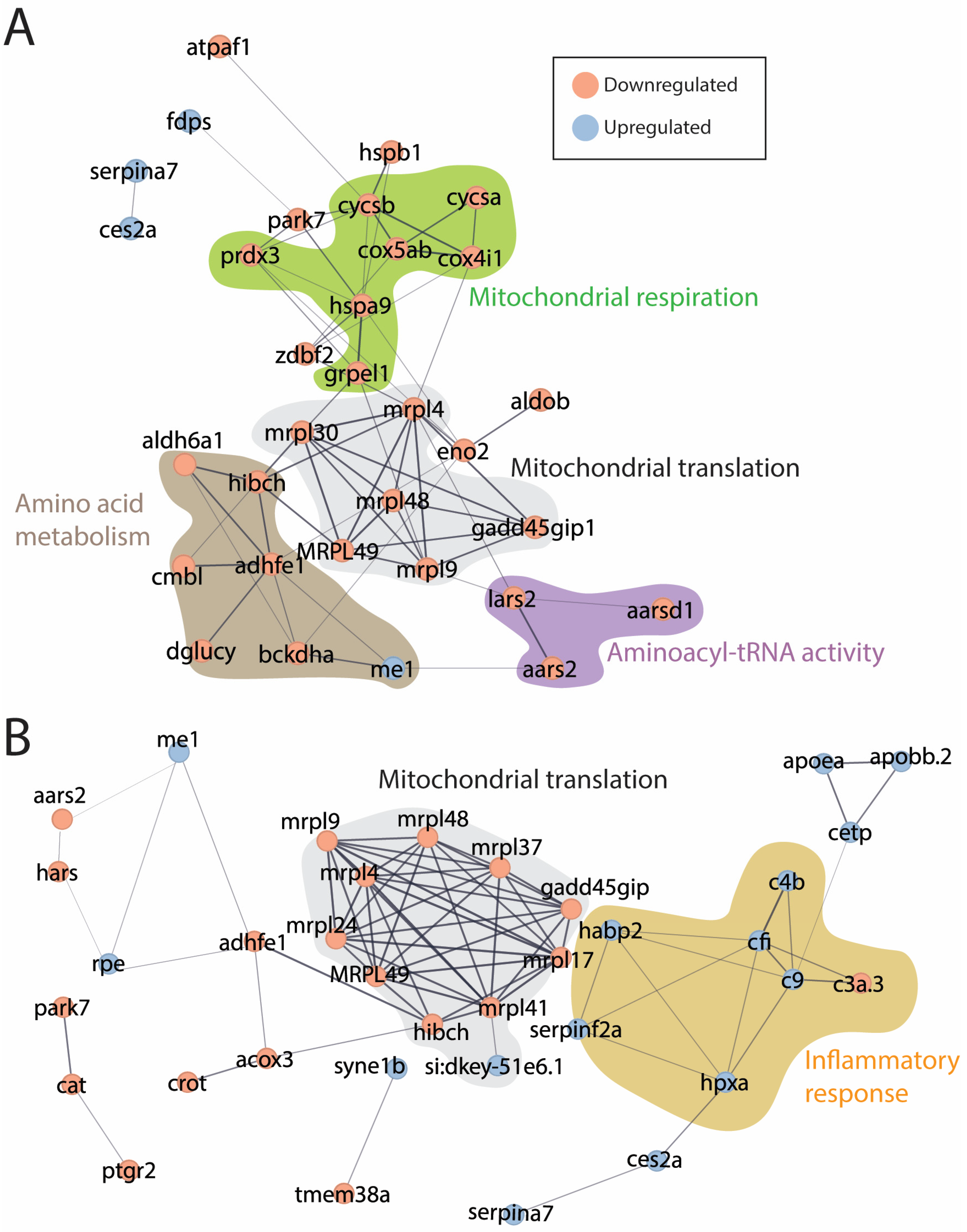 Antioxidants 13 01509 g004