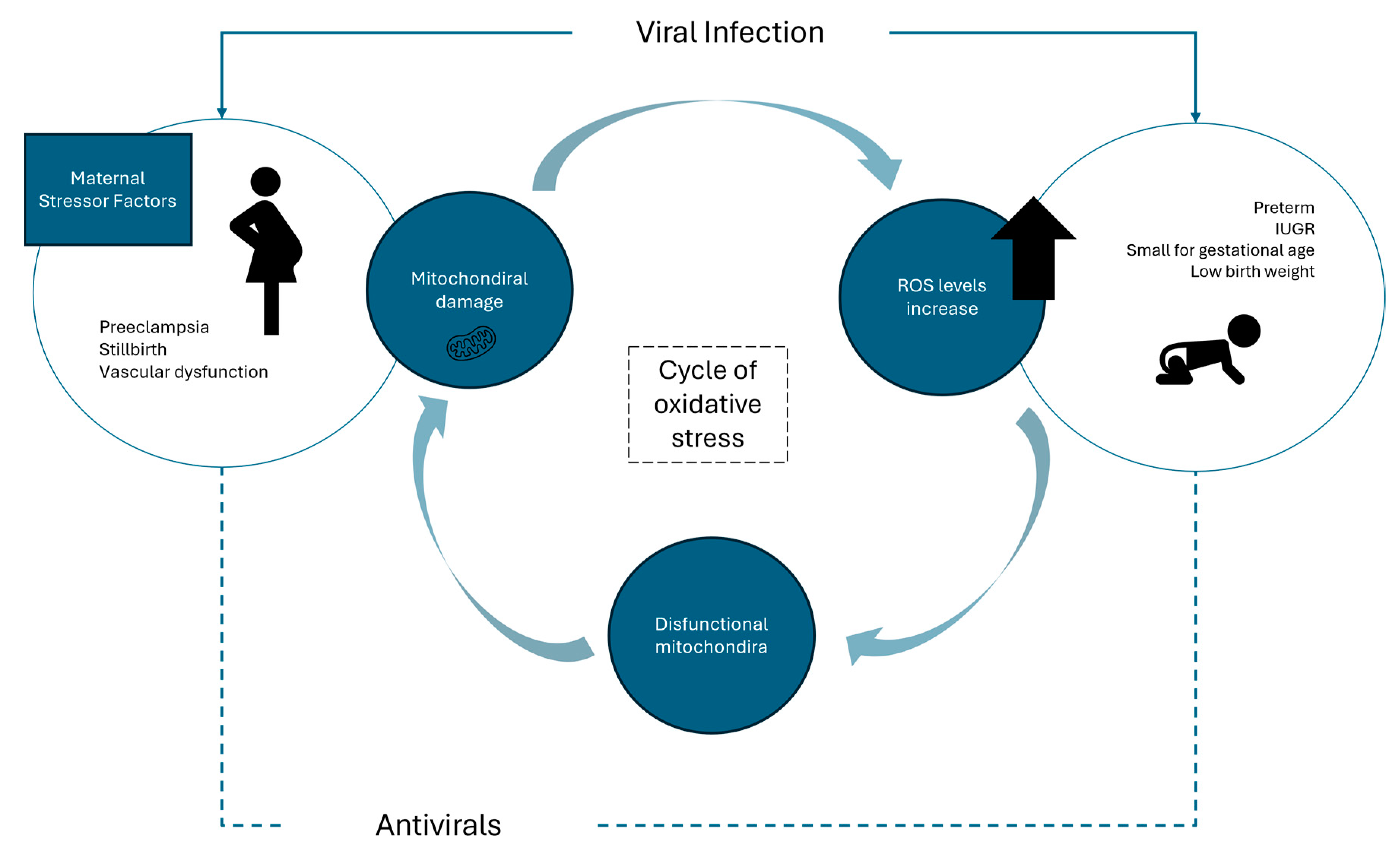 Antioxidants 13 01518 g001