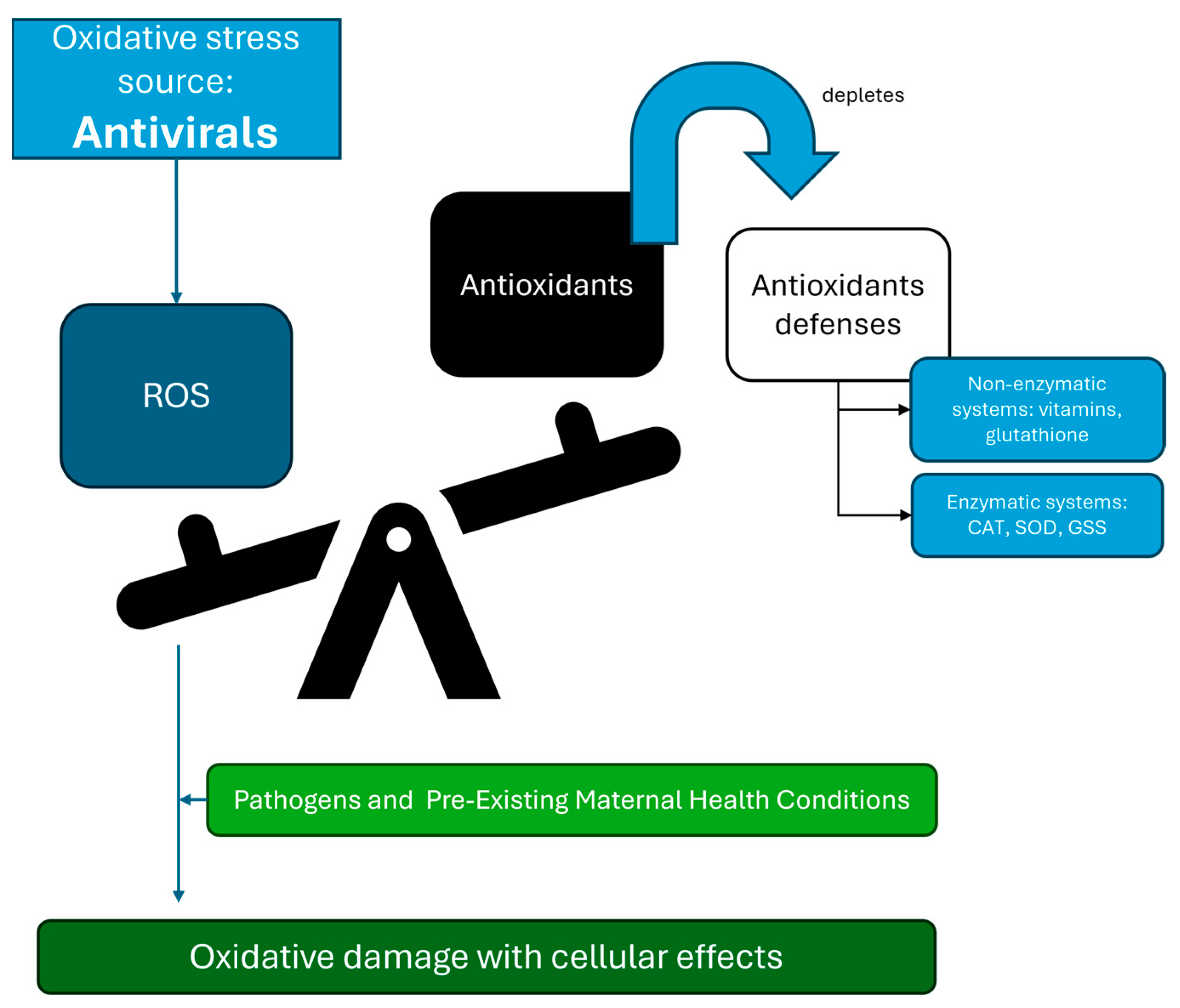 Antioxidants 13 01518 g002