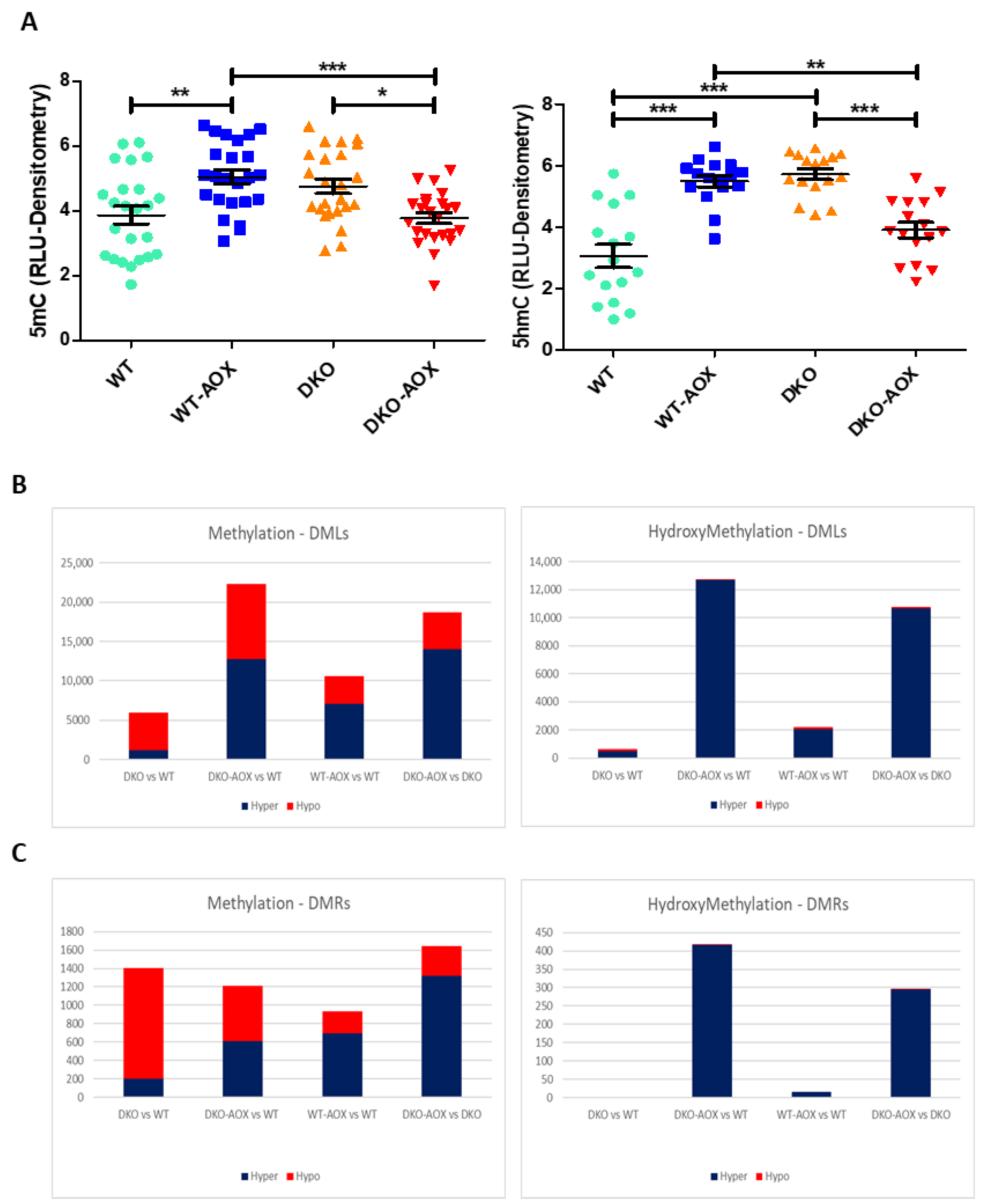 Antioxidants 13 01520 g002