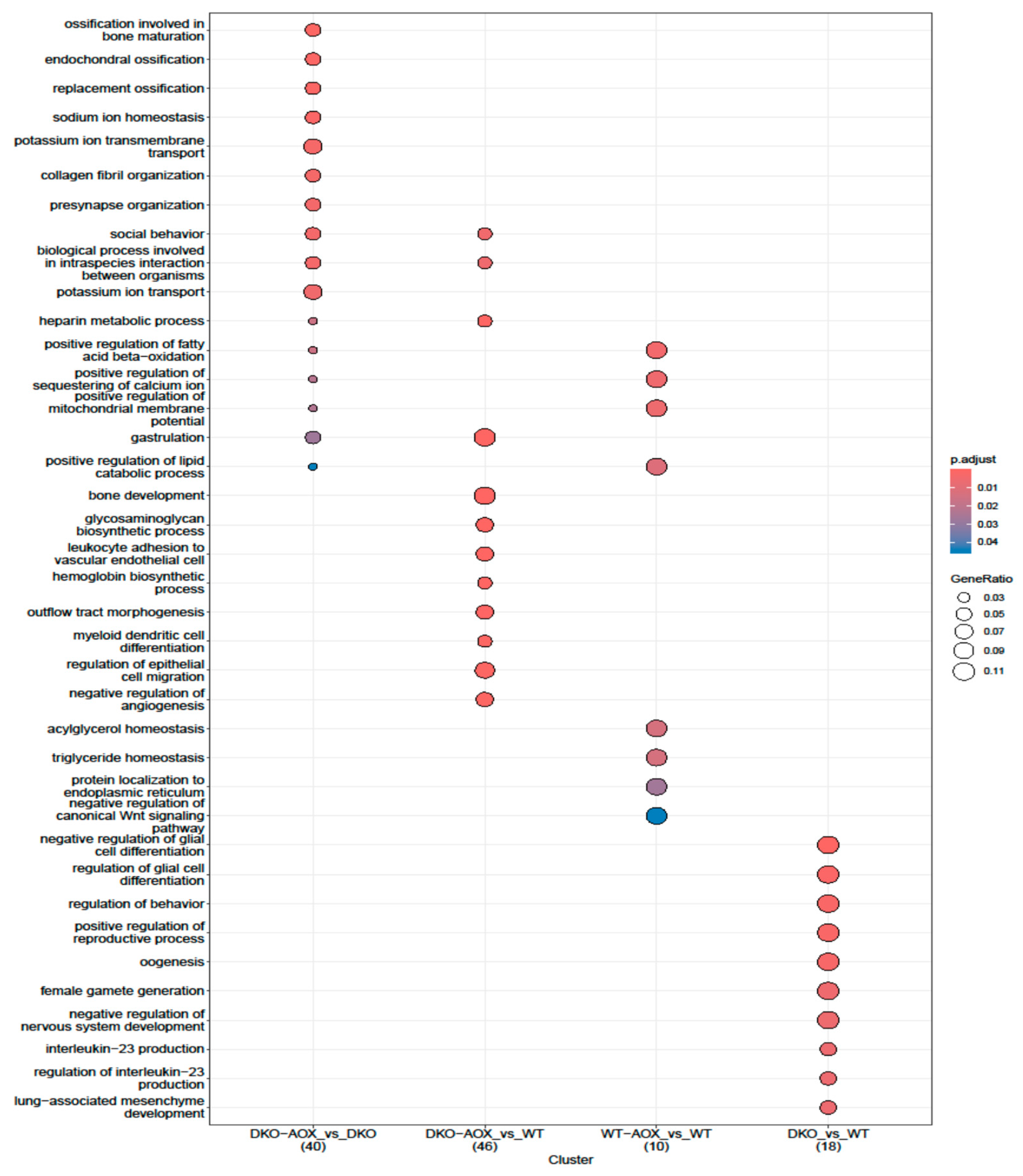 Antioxidants 13 01520 g005