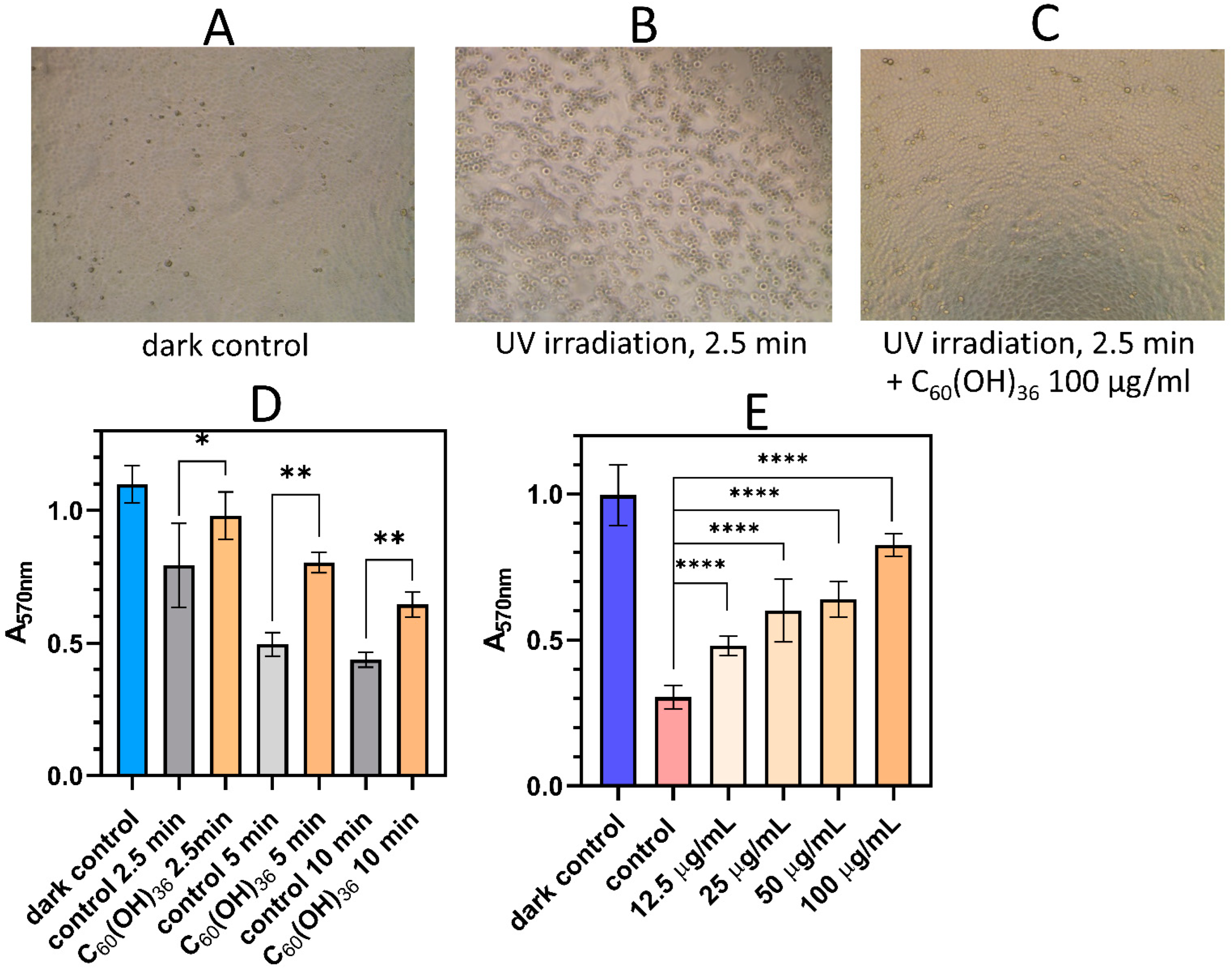 Antioxidants 13 01525 g006