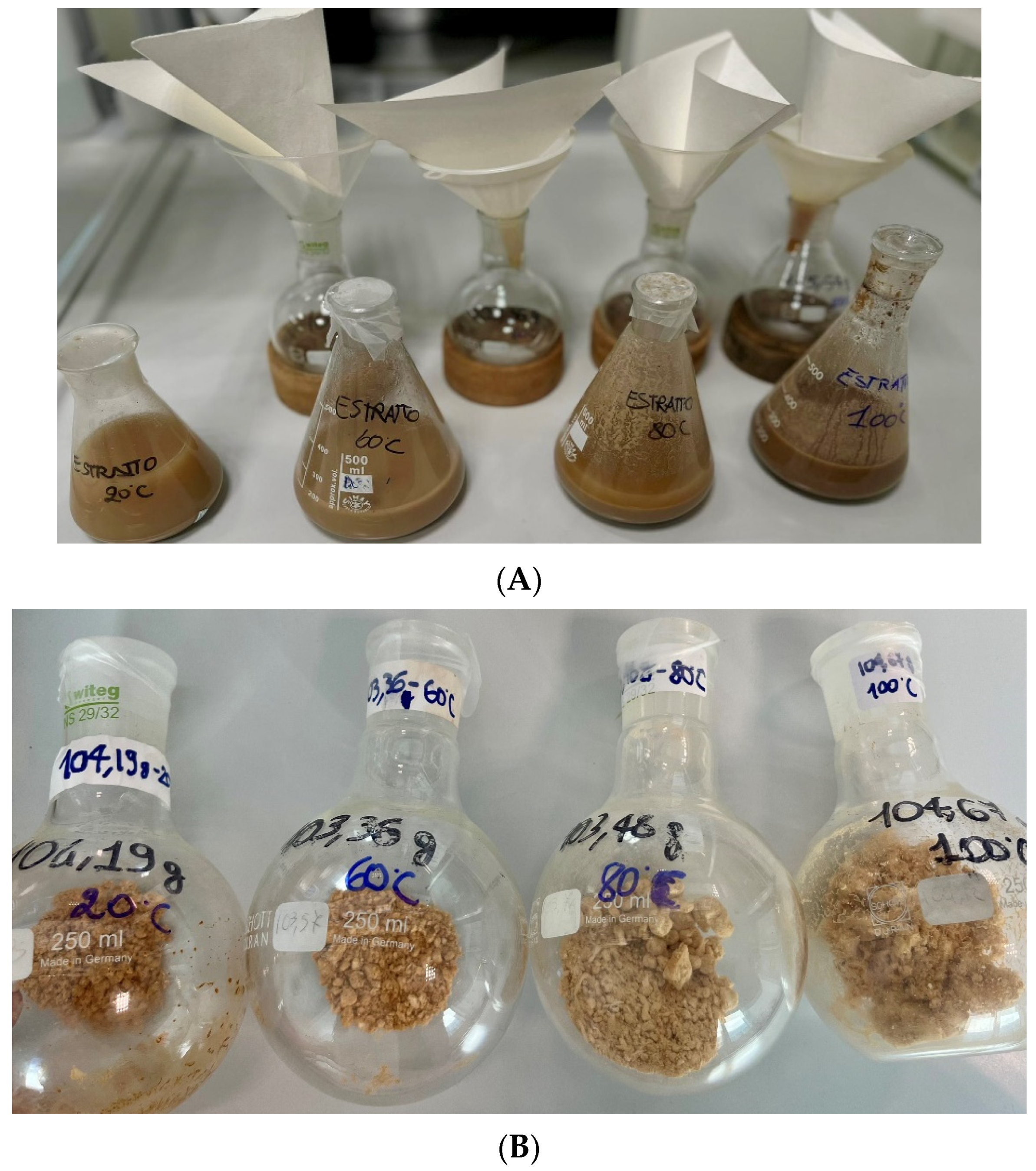 Antioxidants 13 01526 g001 Antioxidants 13 01526 g001