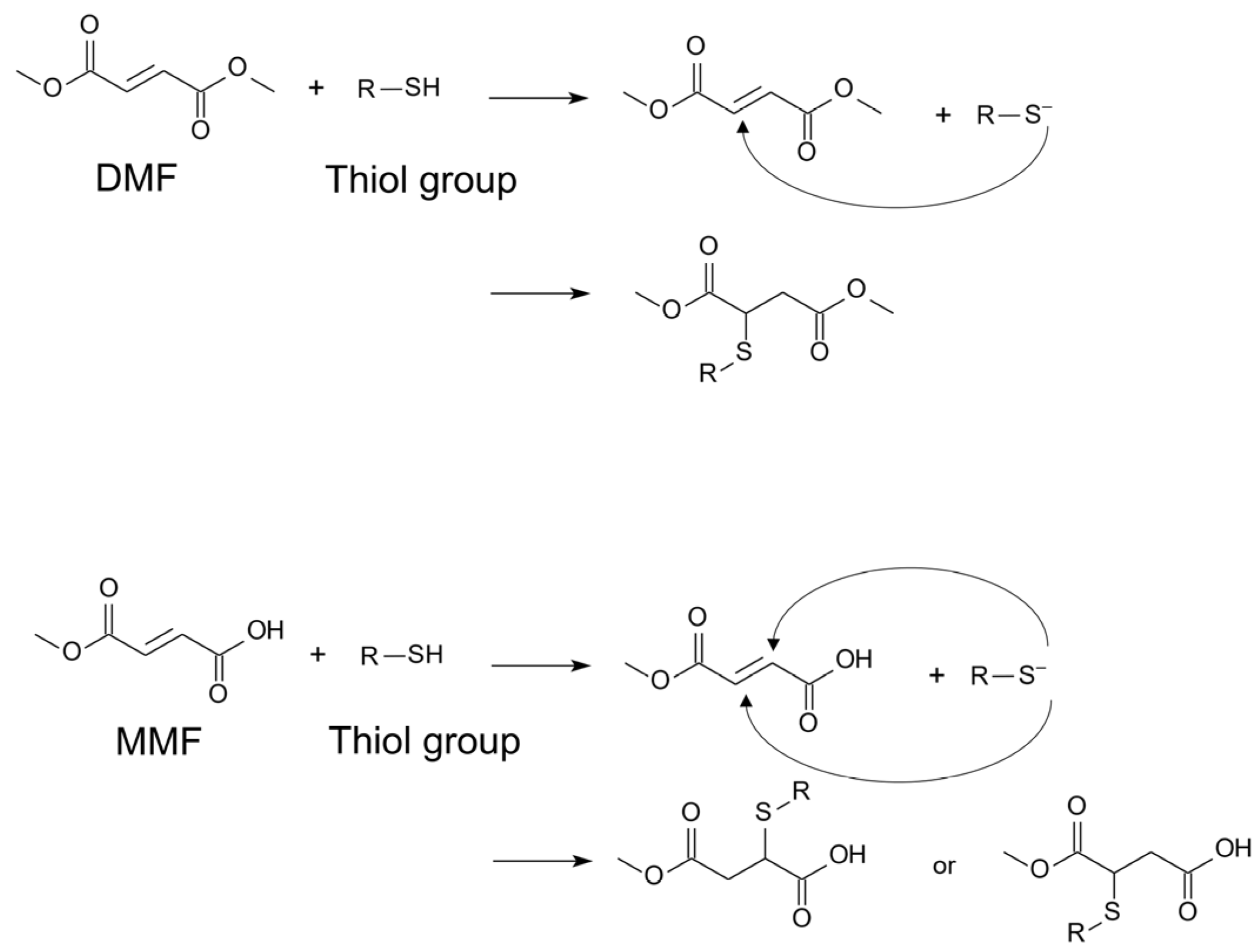 Antioxidants 13 01527 g003