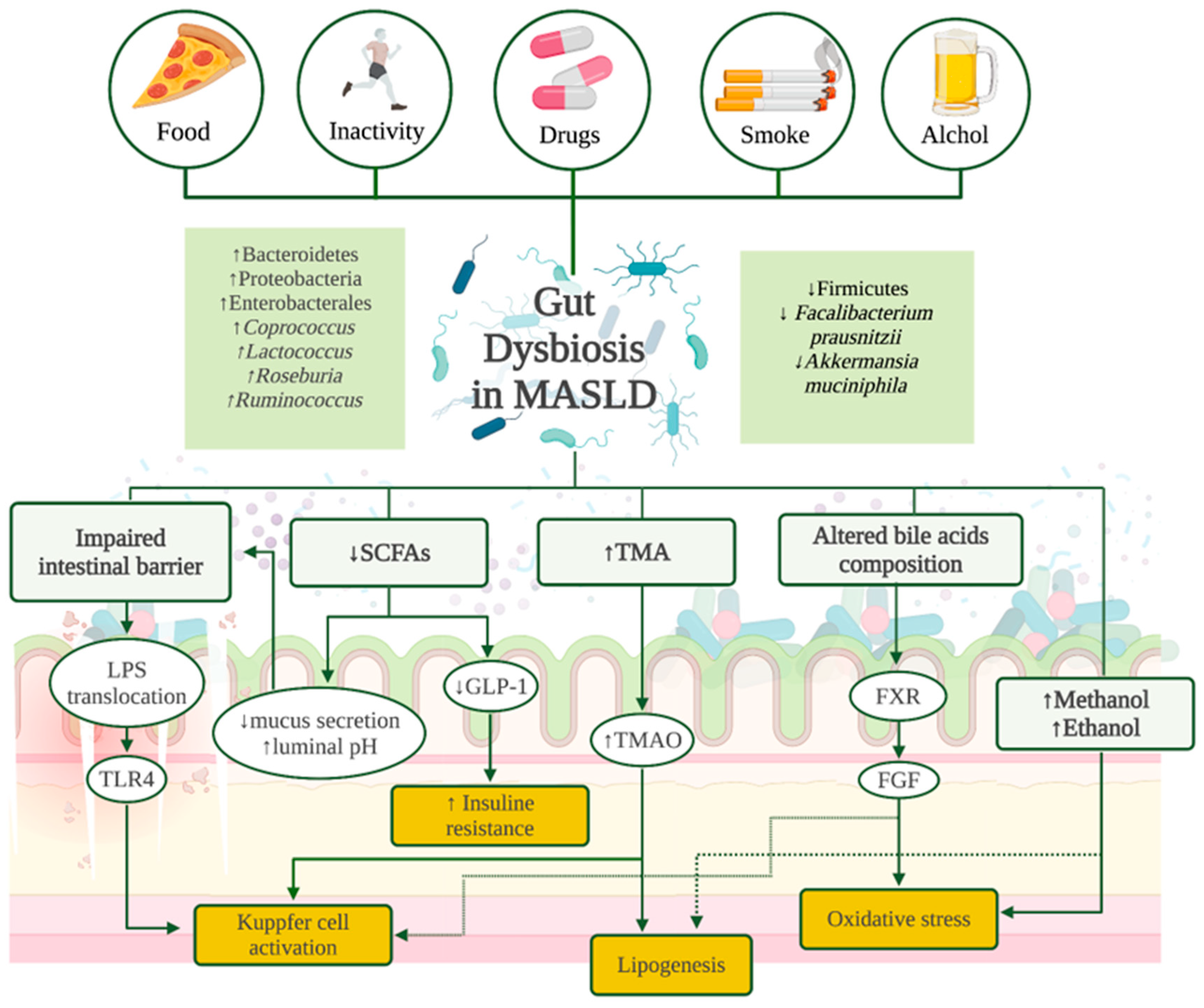 Antioxidants 13 01532 g002