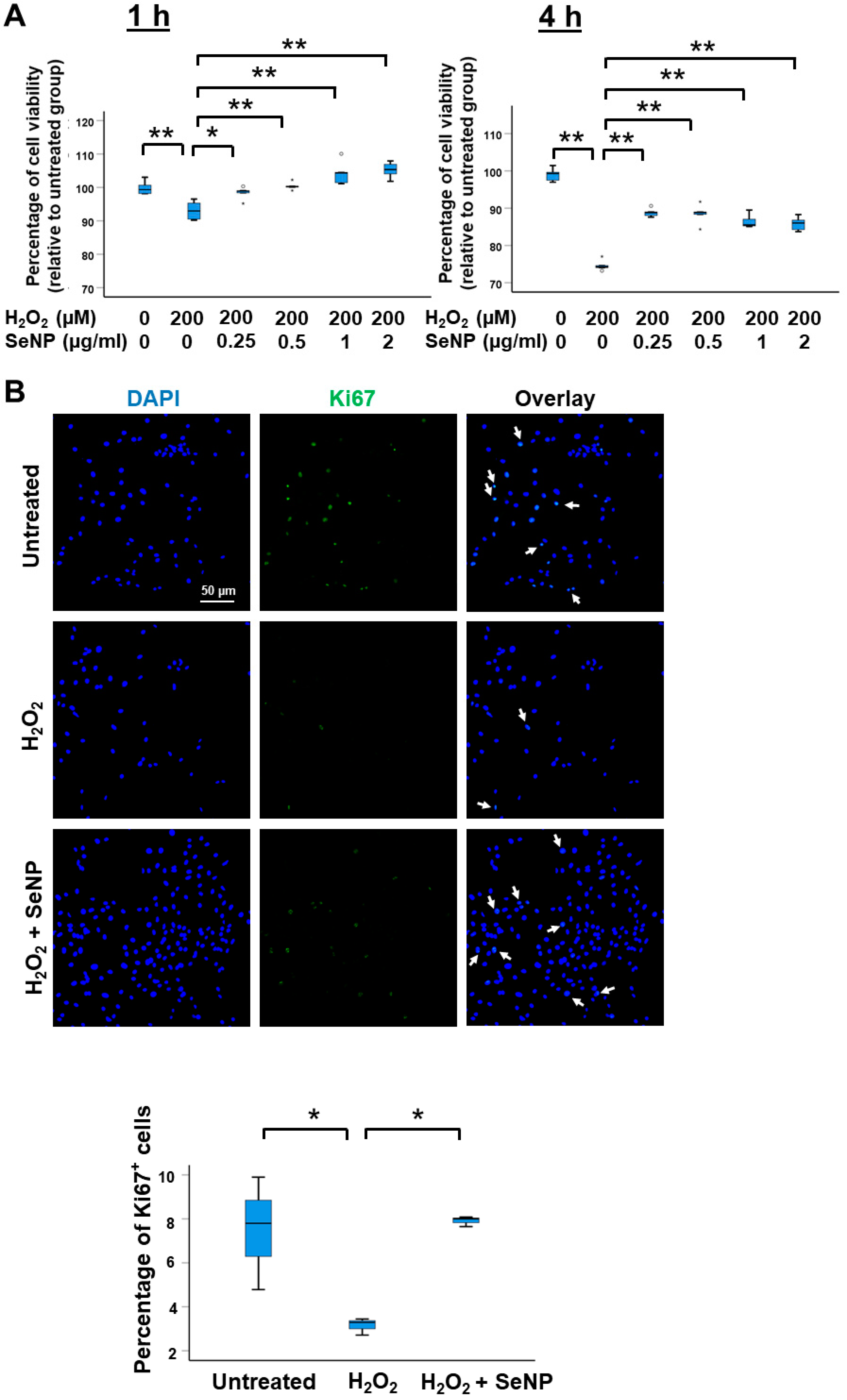 Antioxidants 13 01536 g002