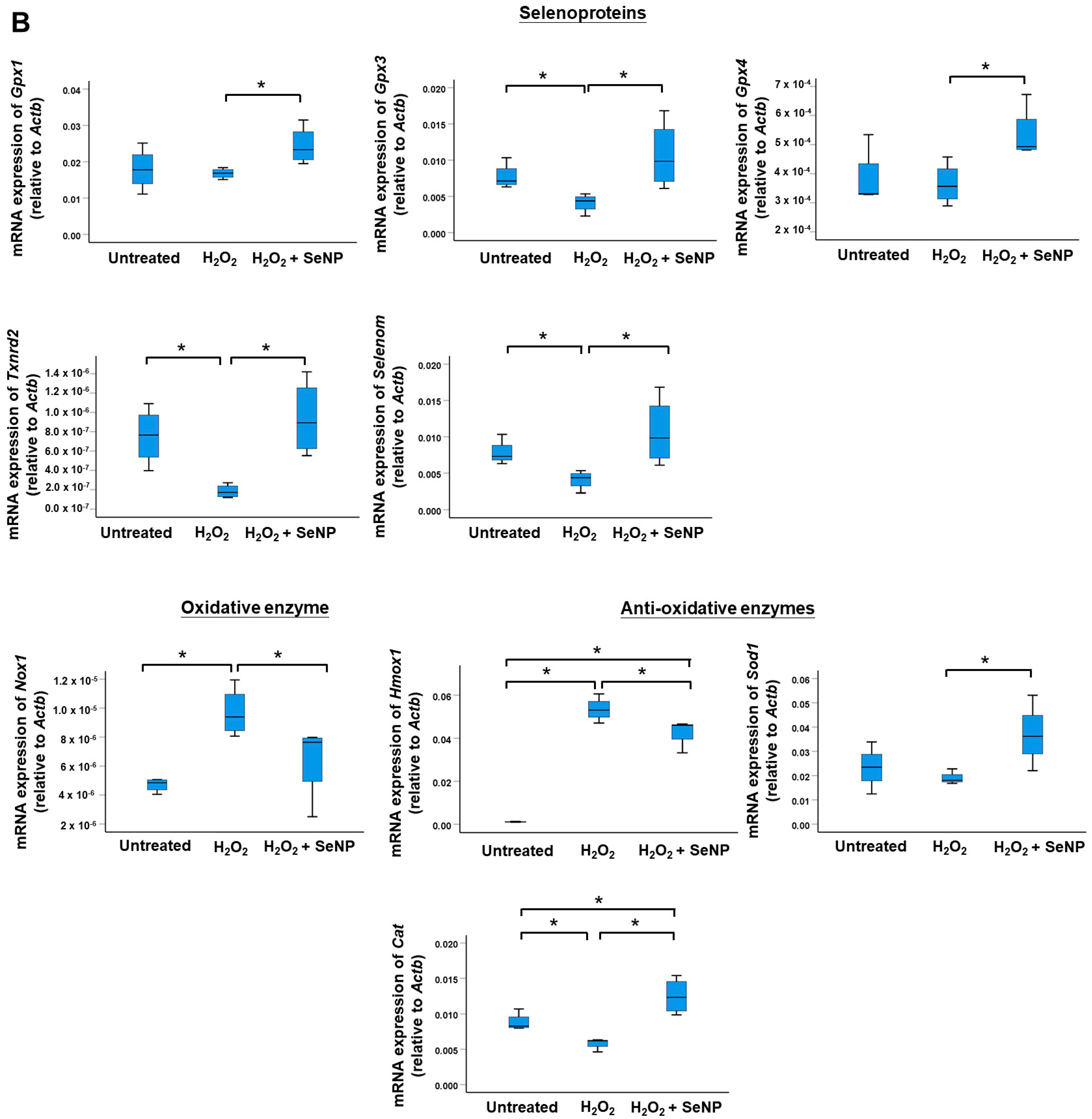 Antioxidants 13 01536 g003b