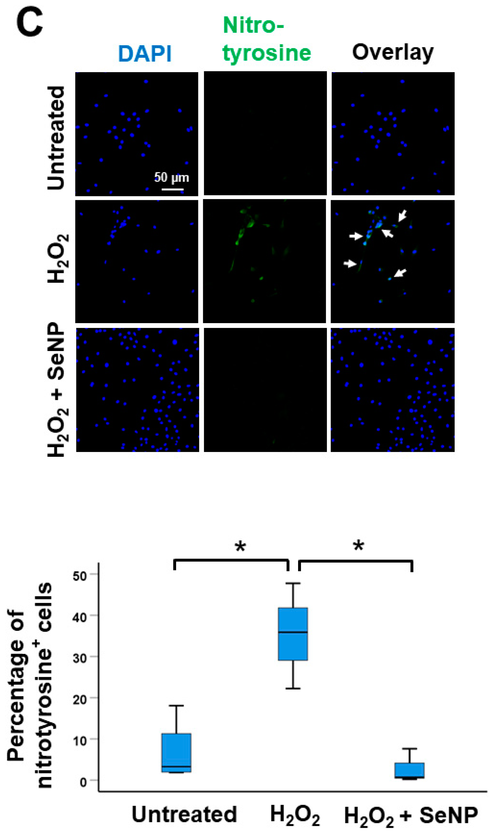 Antioxidants 13 01536 g003c