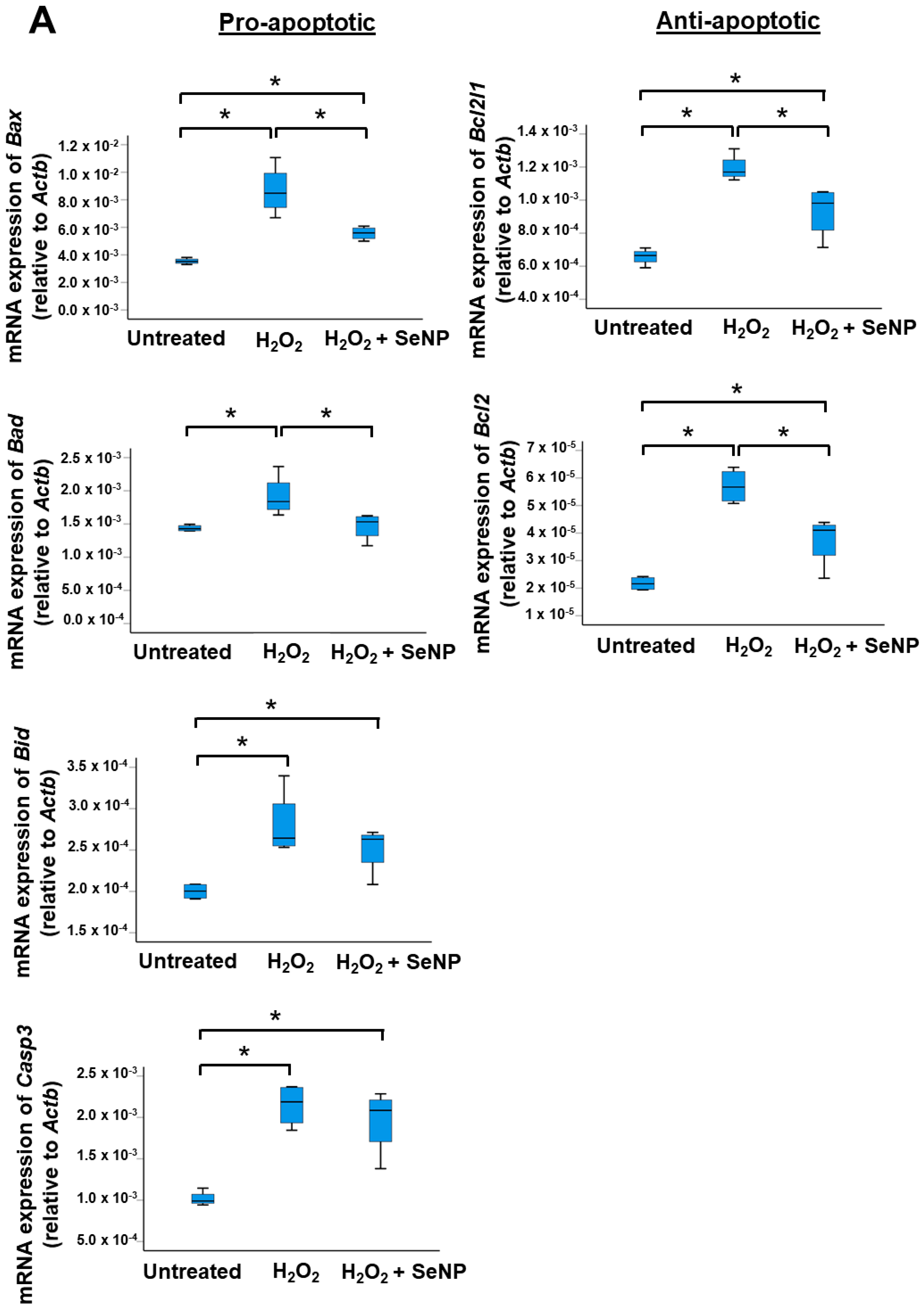 Antioxidants 13 01536 g005a