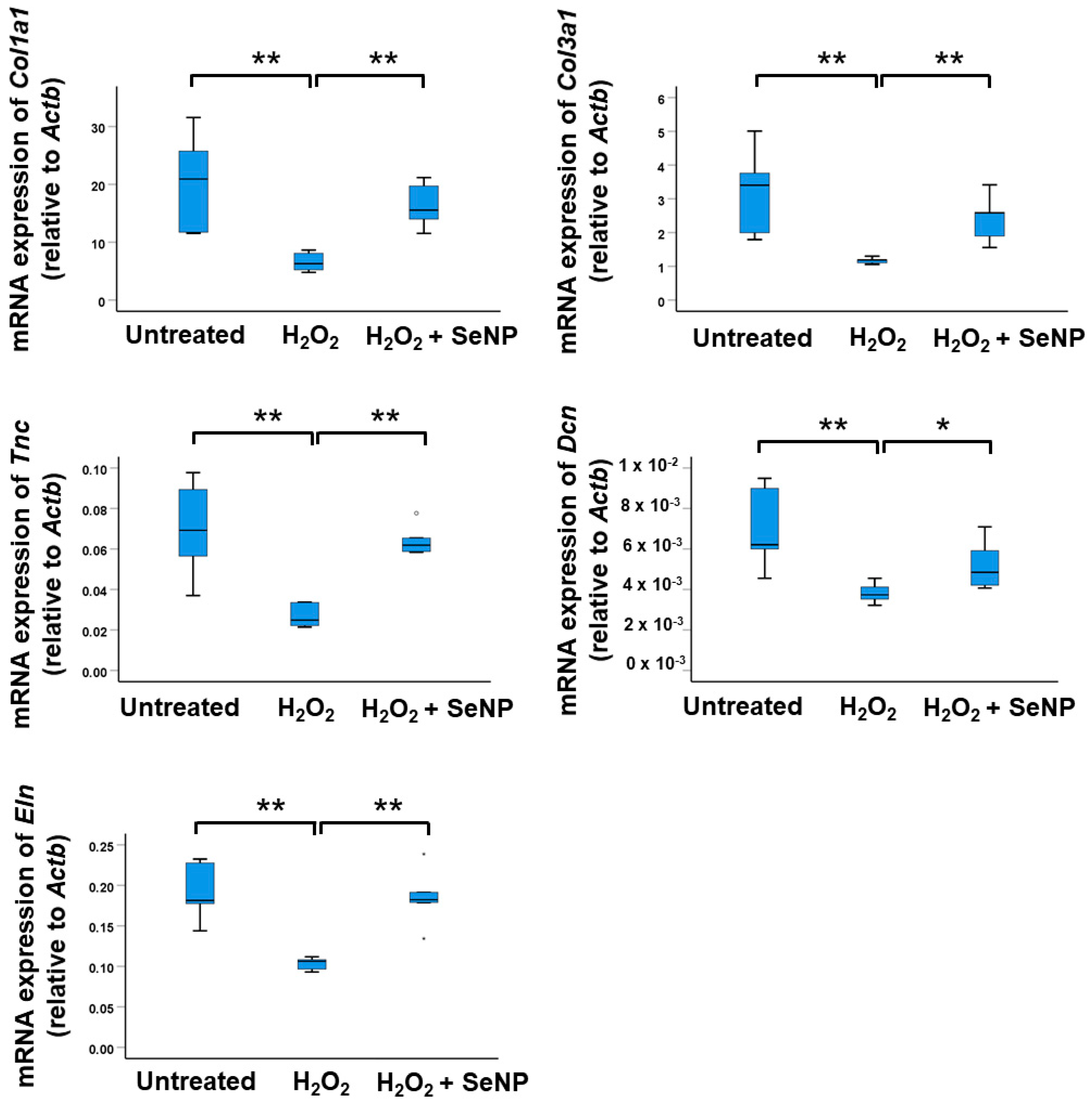 Antioxidants 13 01536 g006