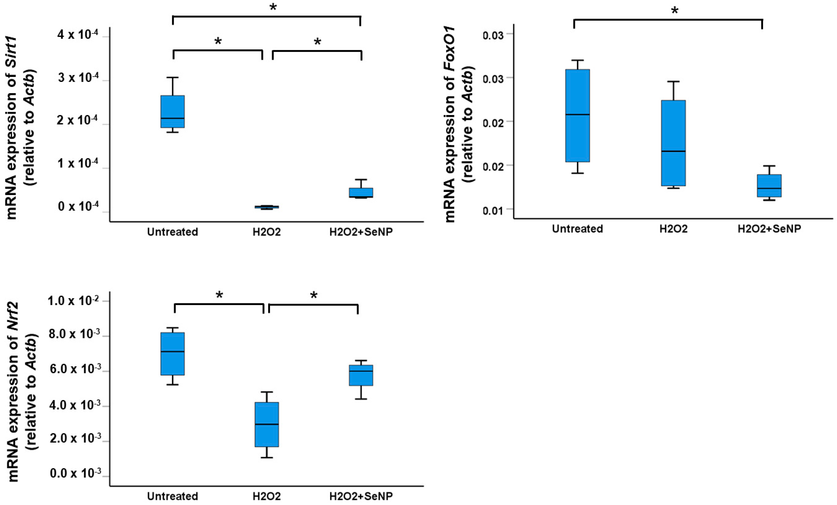 Antioxidants 13 01536 g007