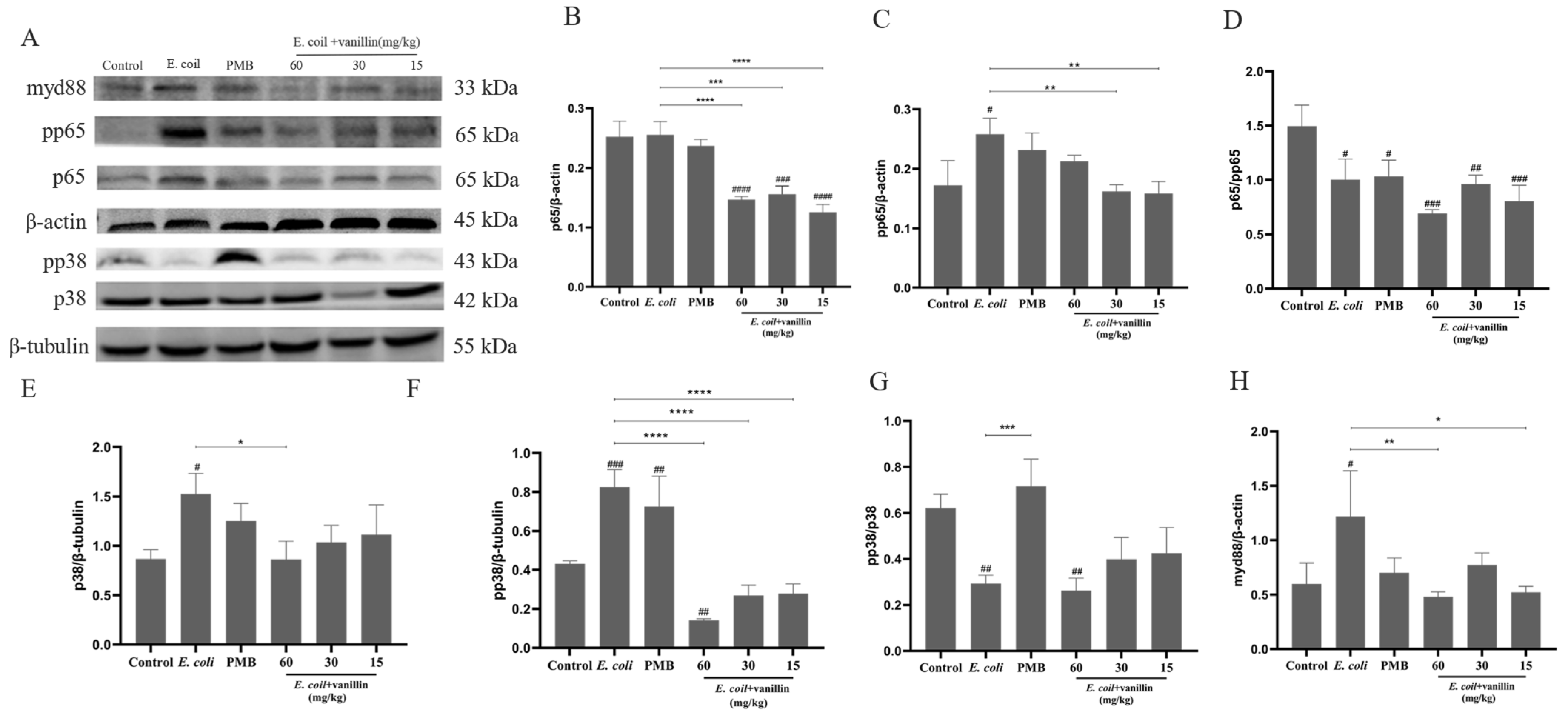 Antioxidants 13 01544 g005