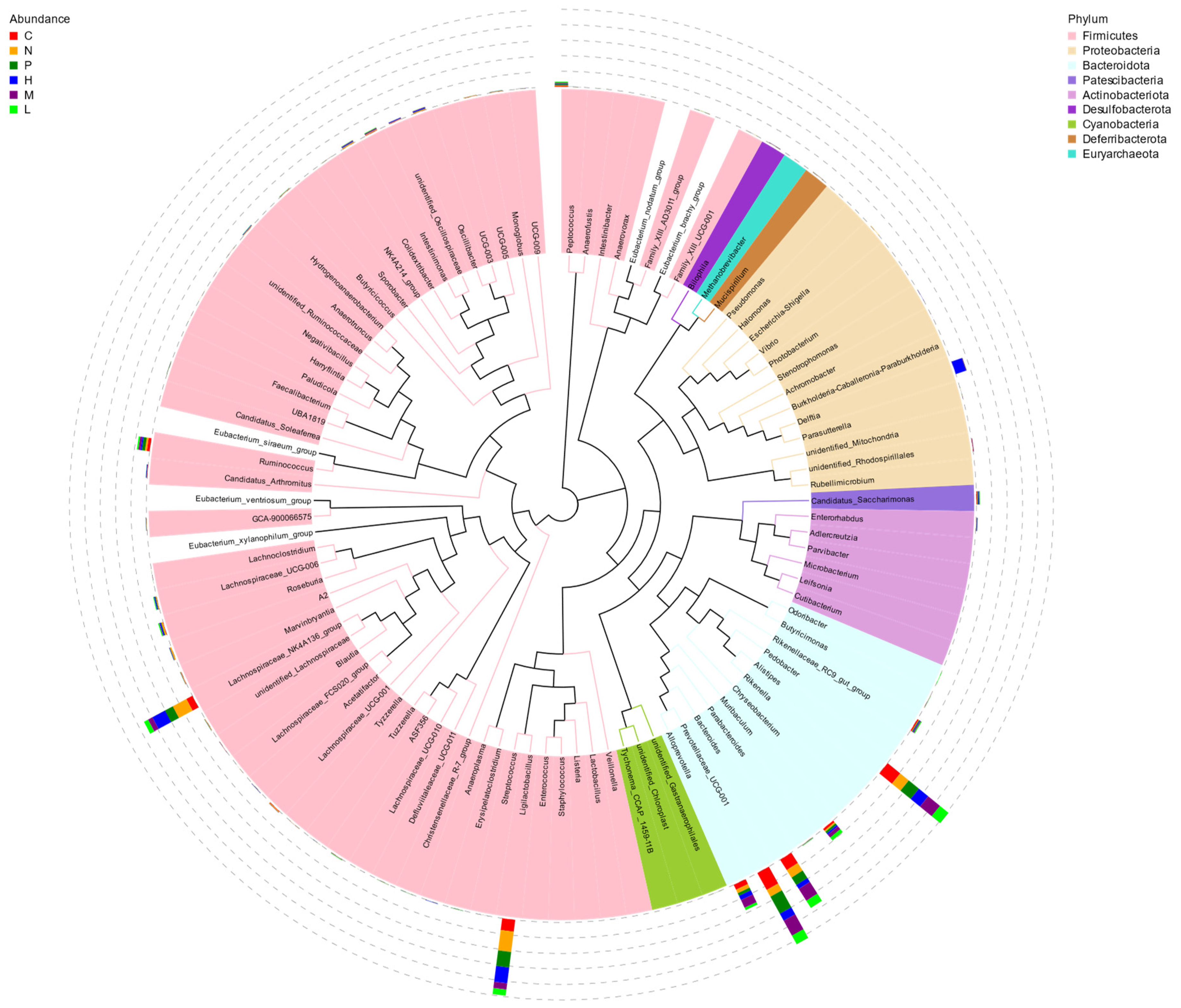 Antioxidants 13 01544 g008