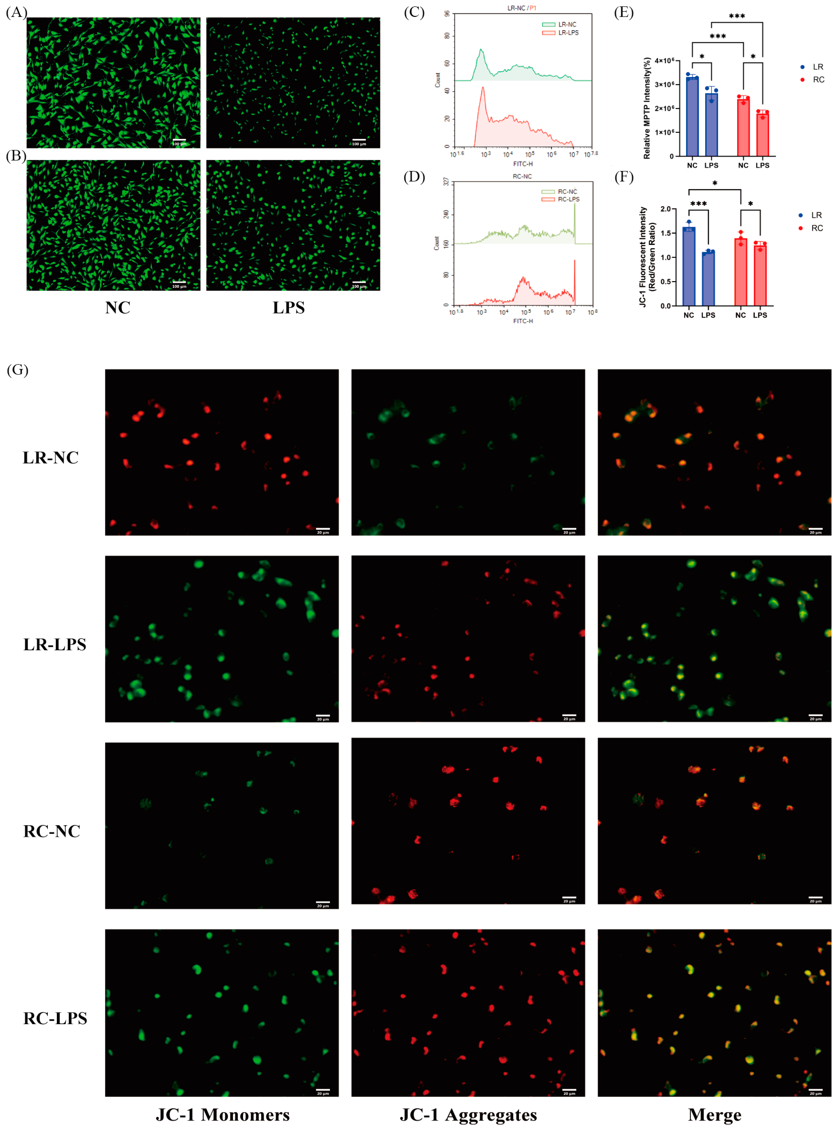 Antioxidants 13 01545 g004