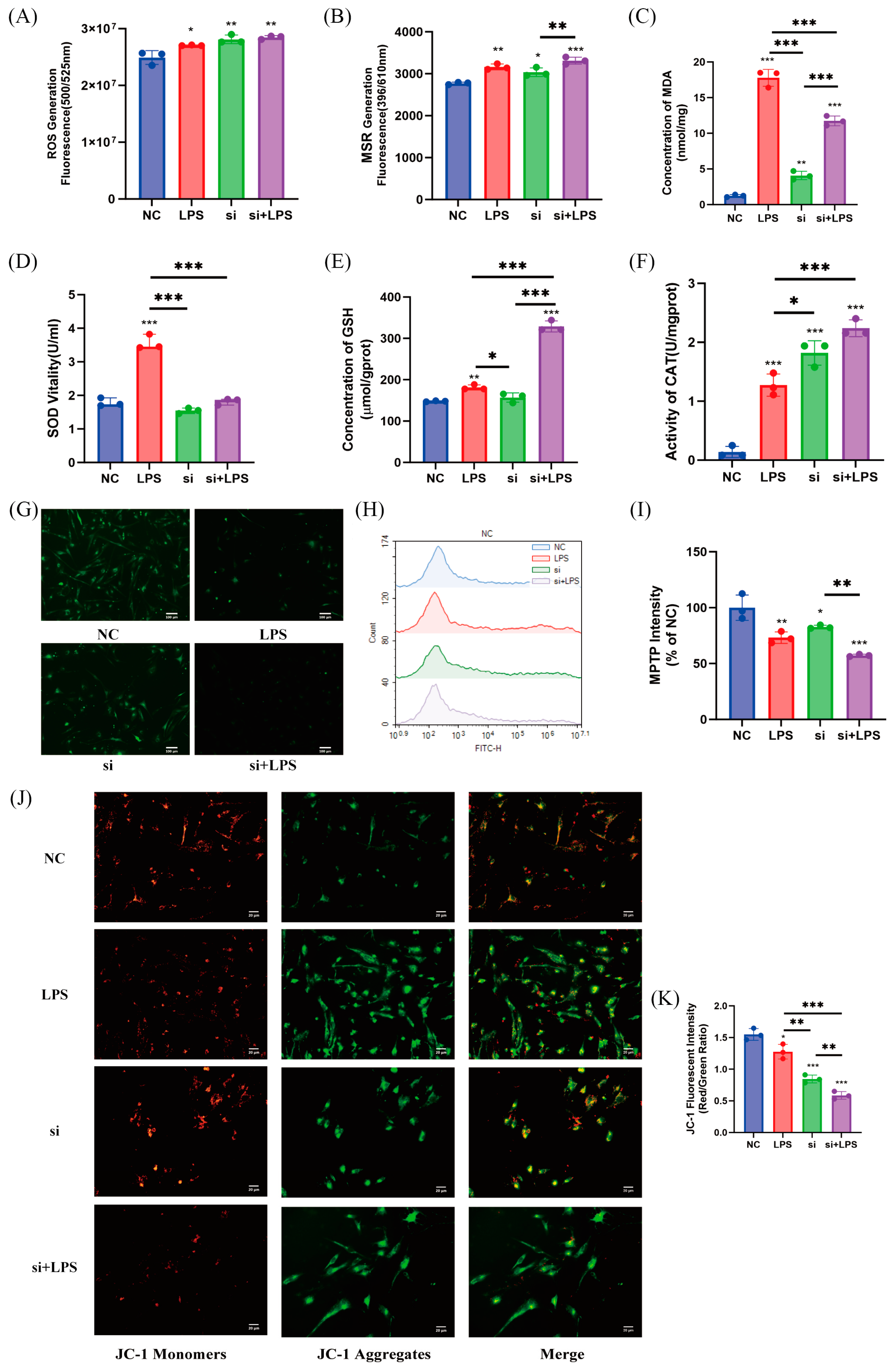 Antioxidants 13 01545 g008
