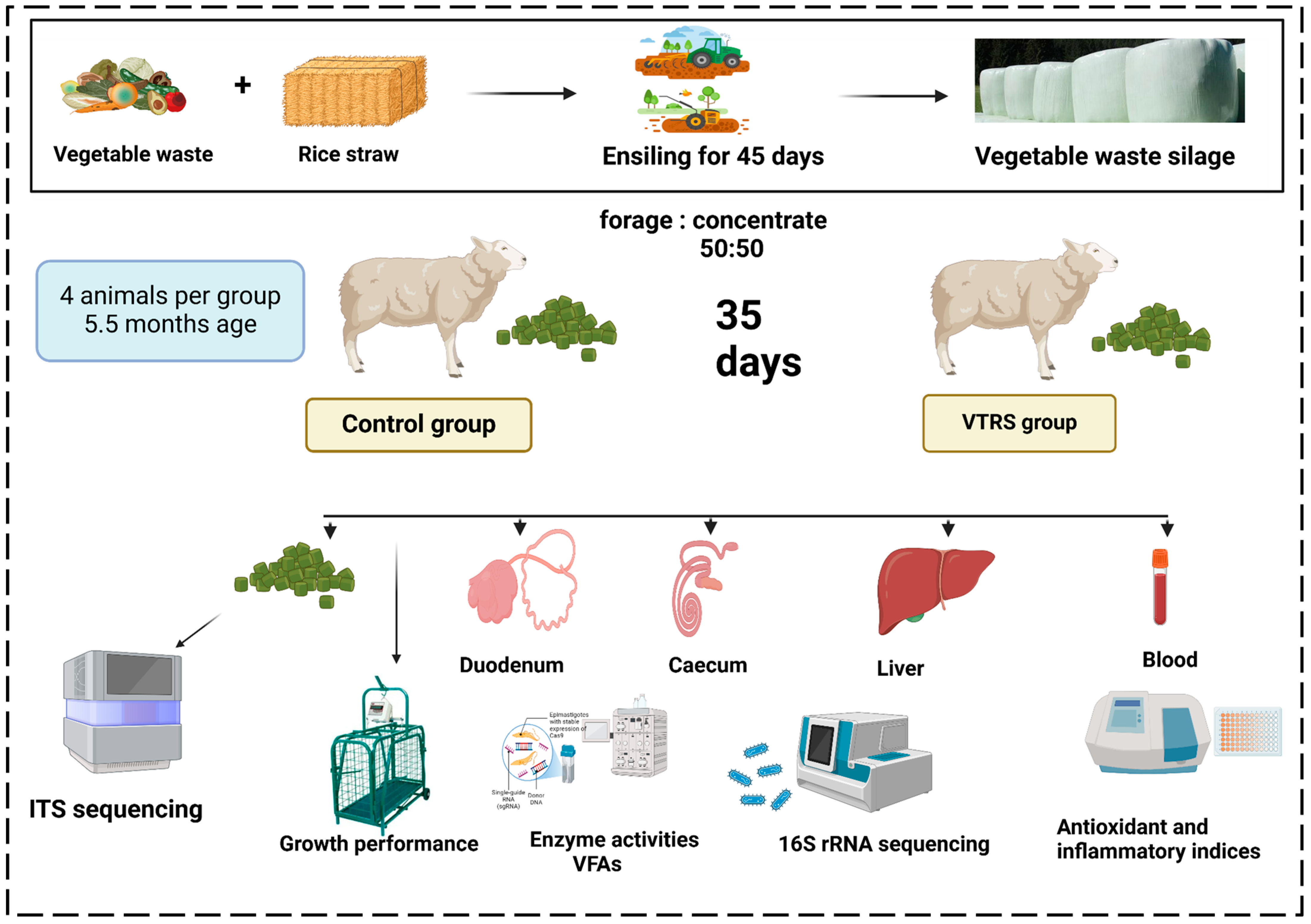 Antioxidants 13 01546 g001