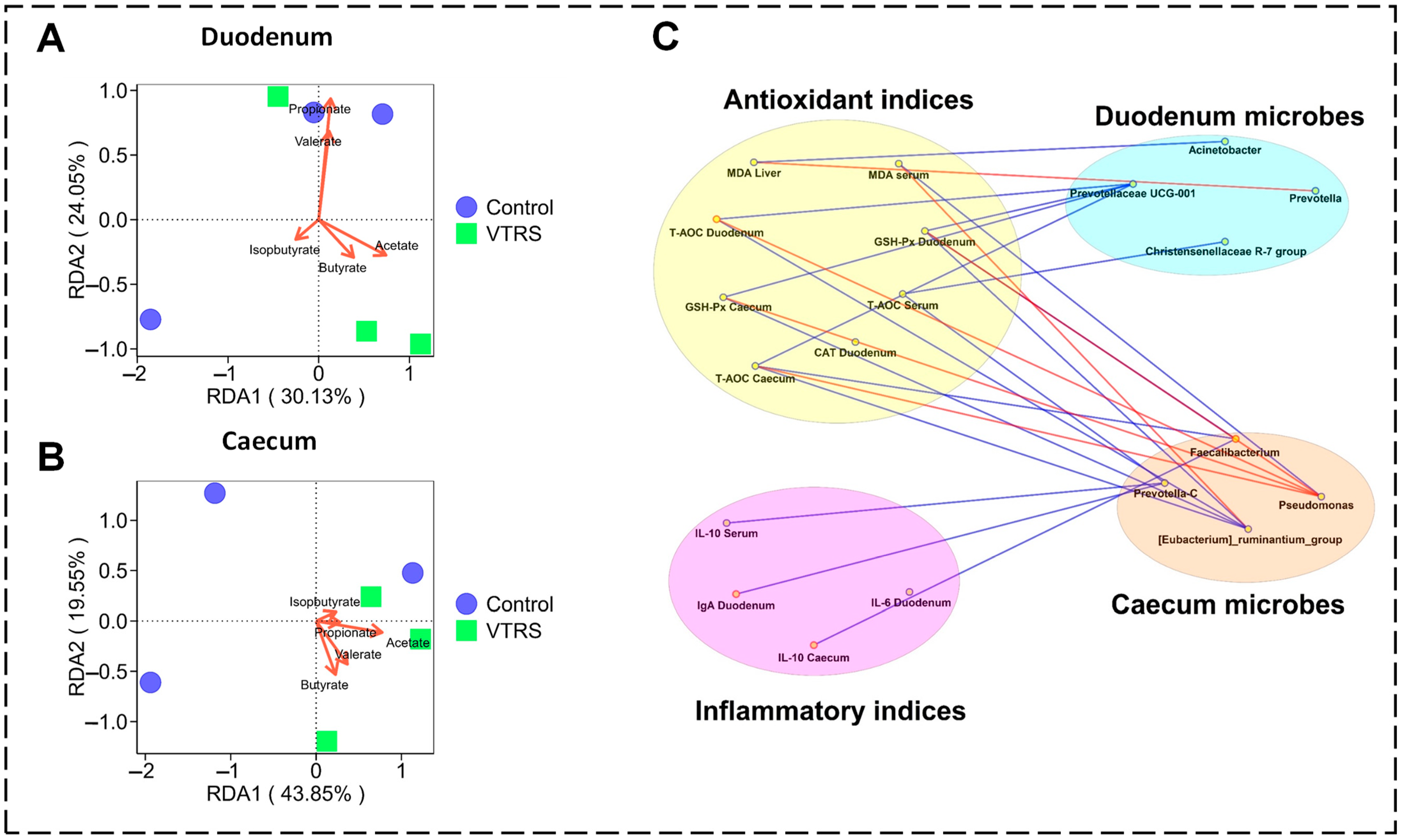 Antioxidants 13 01546 g006