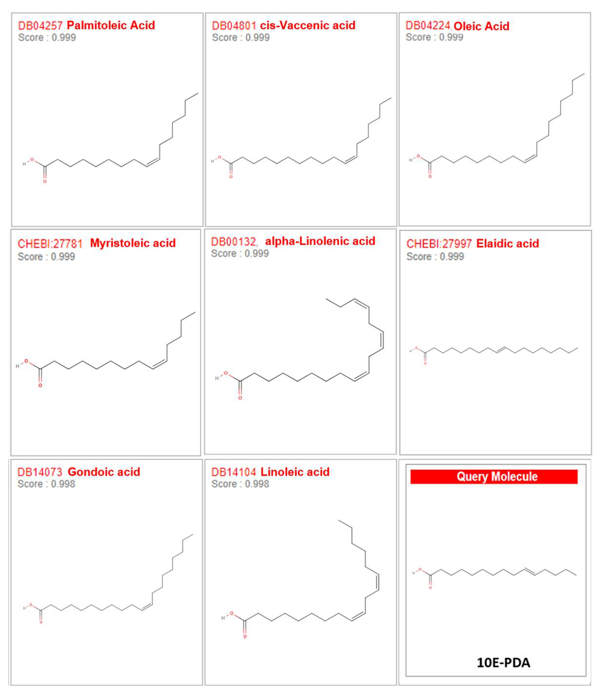 Antioxidants 13 01547 g001
