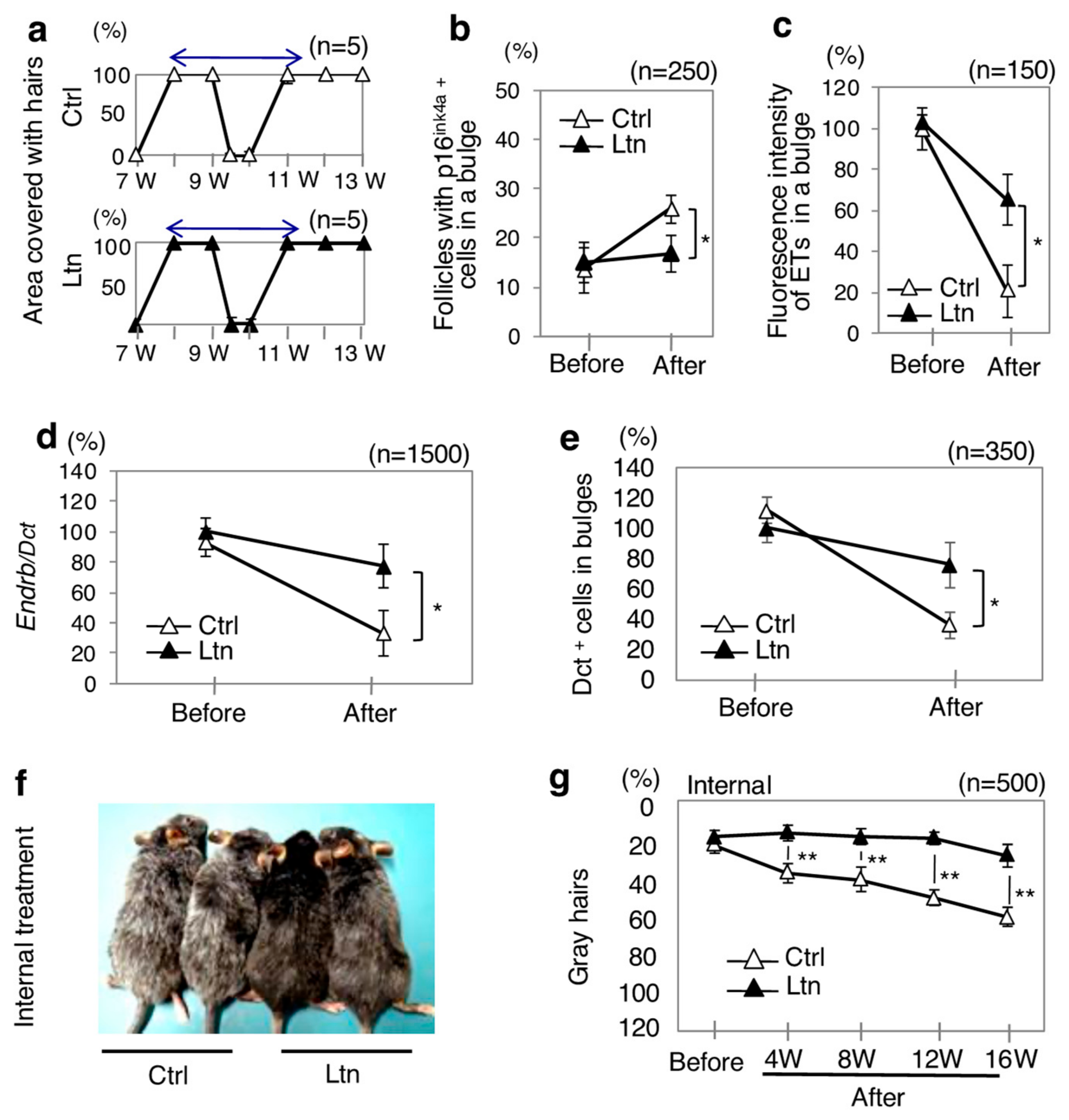 Antioxidants 13 01549 g003