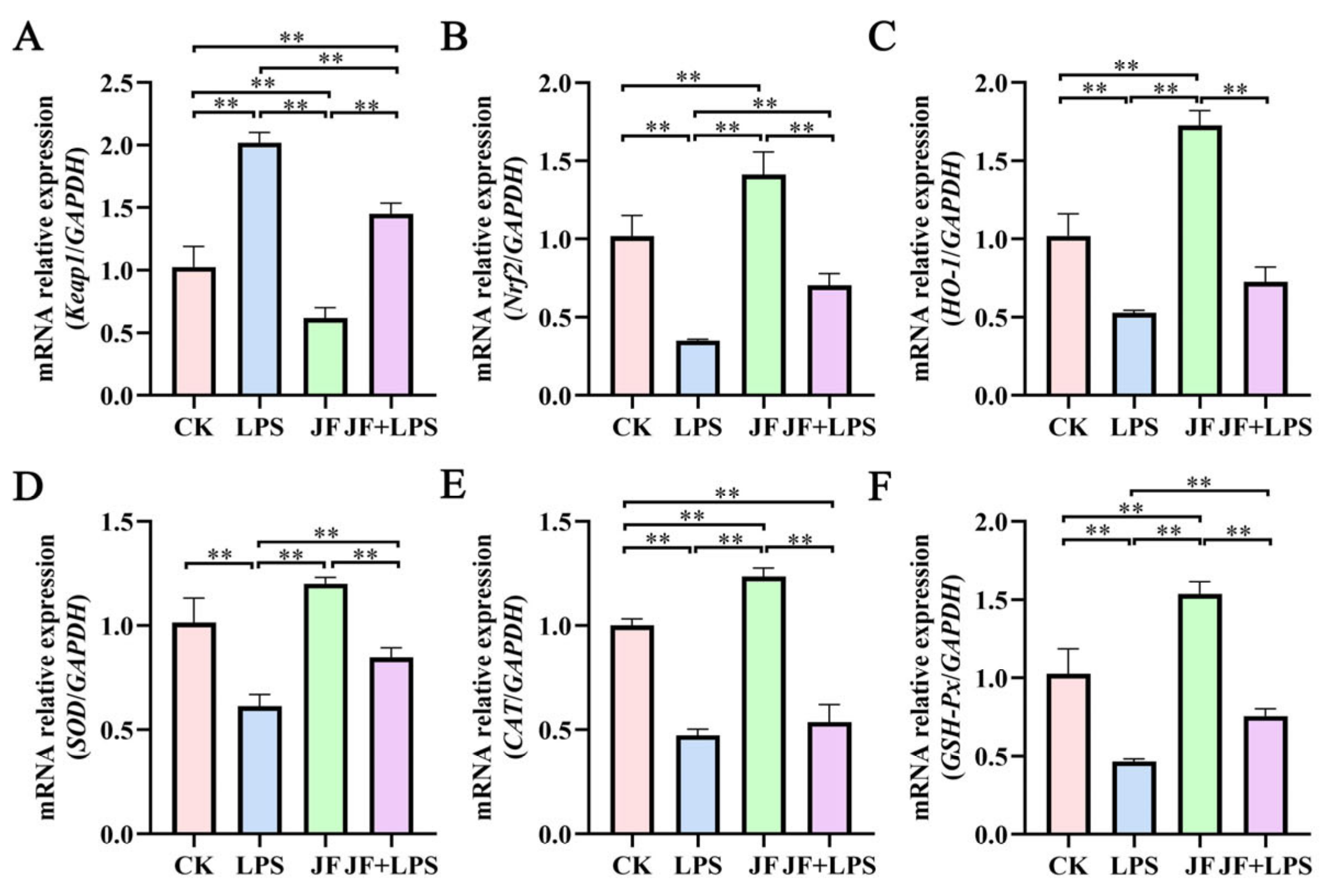 Antioxidants 13 01550 g002