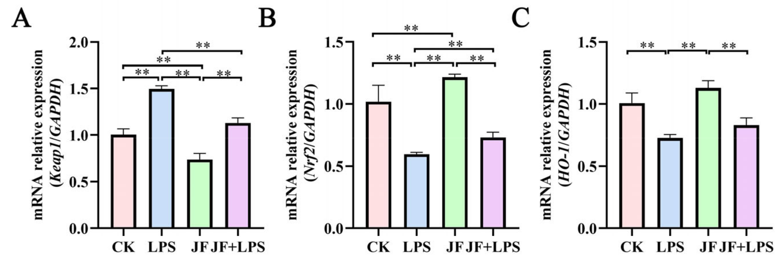 Antioxidants 13 01550 g007