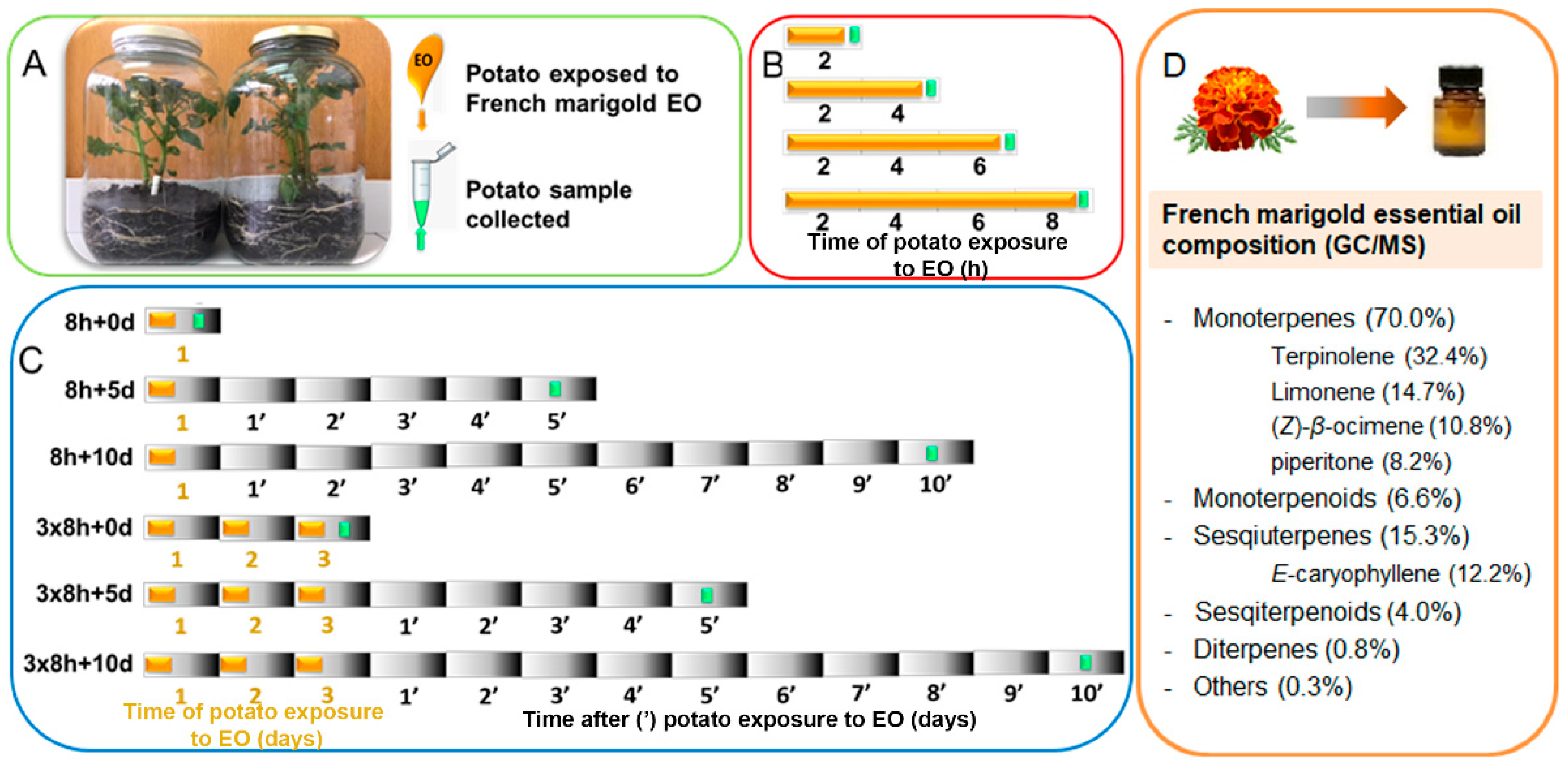 Antioxidants 13 01565 g001