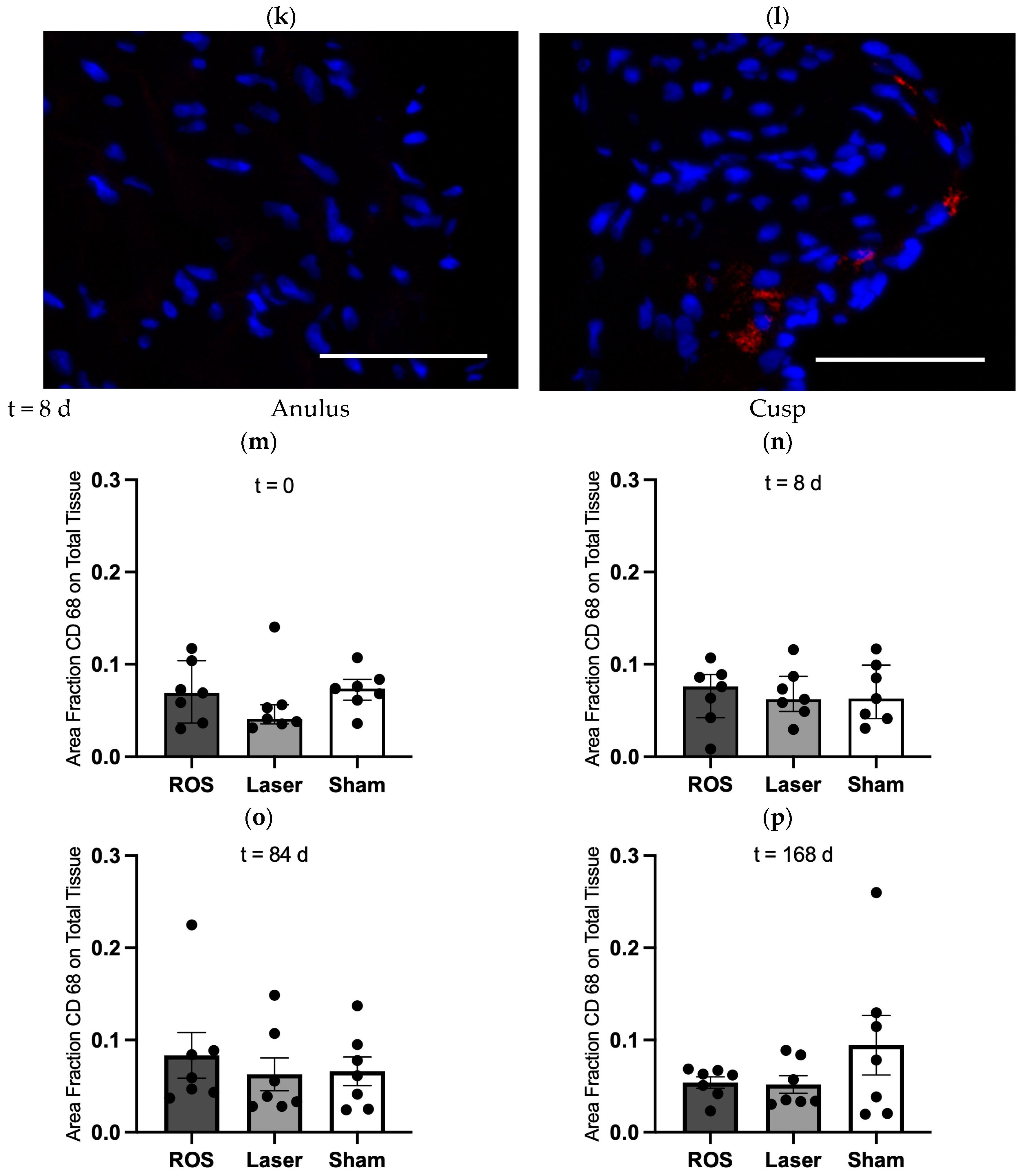 Antioxidants 13 01570 g004c