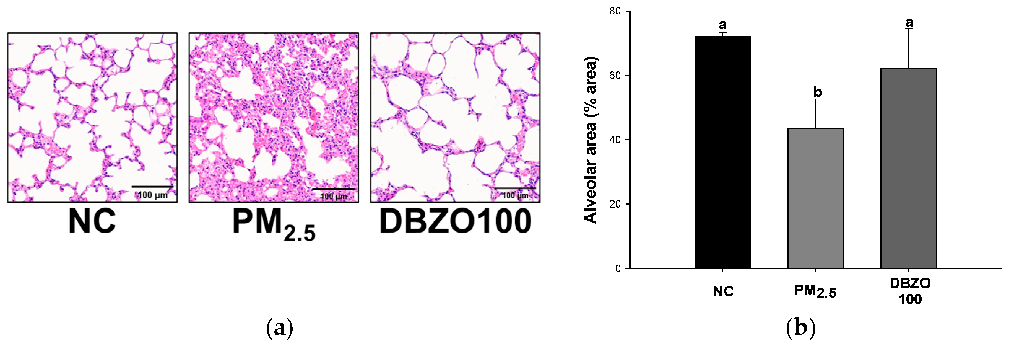 Antioxidants 13 01572 g006