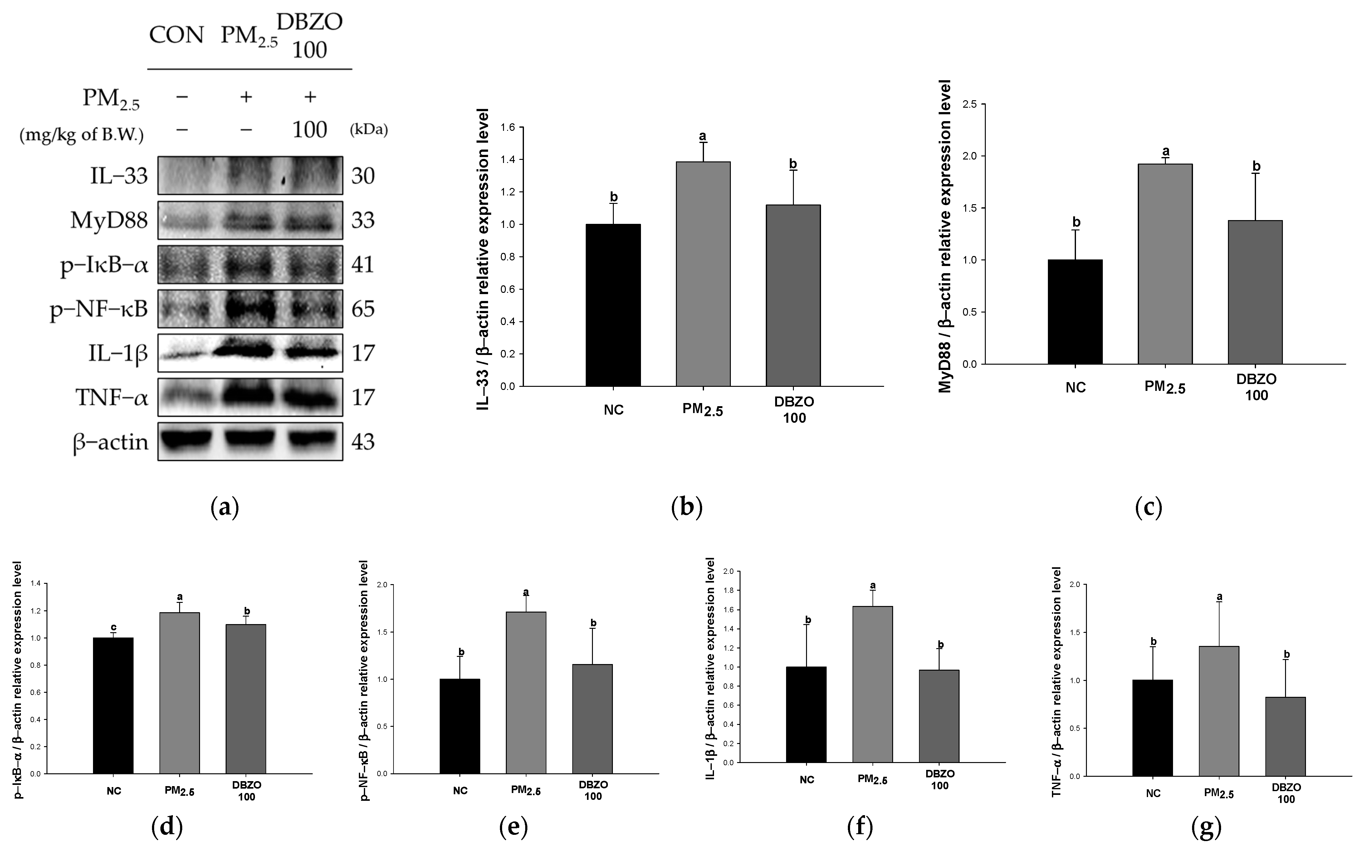 Antioxidants 13 01572 g007