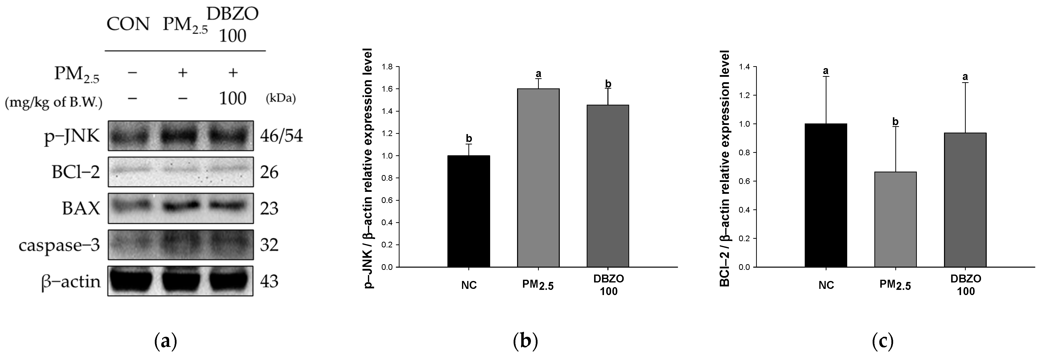 Antioxidants 13 01572 g008a