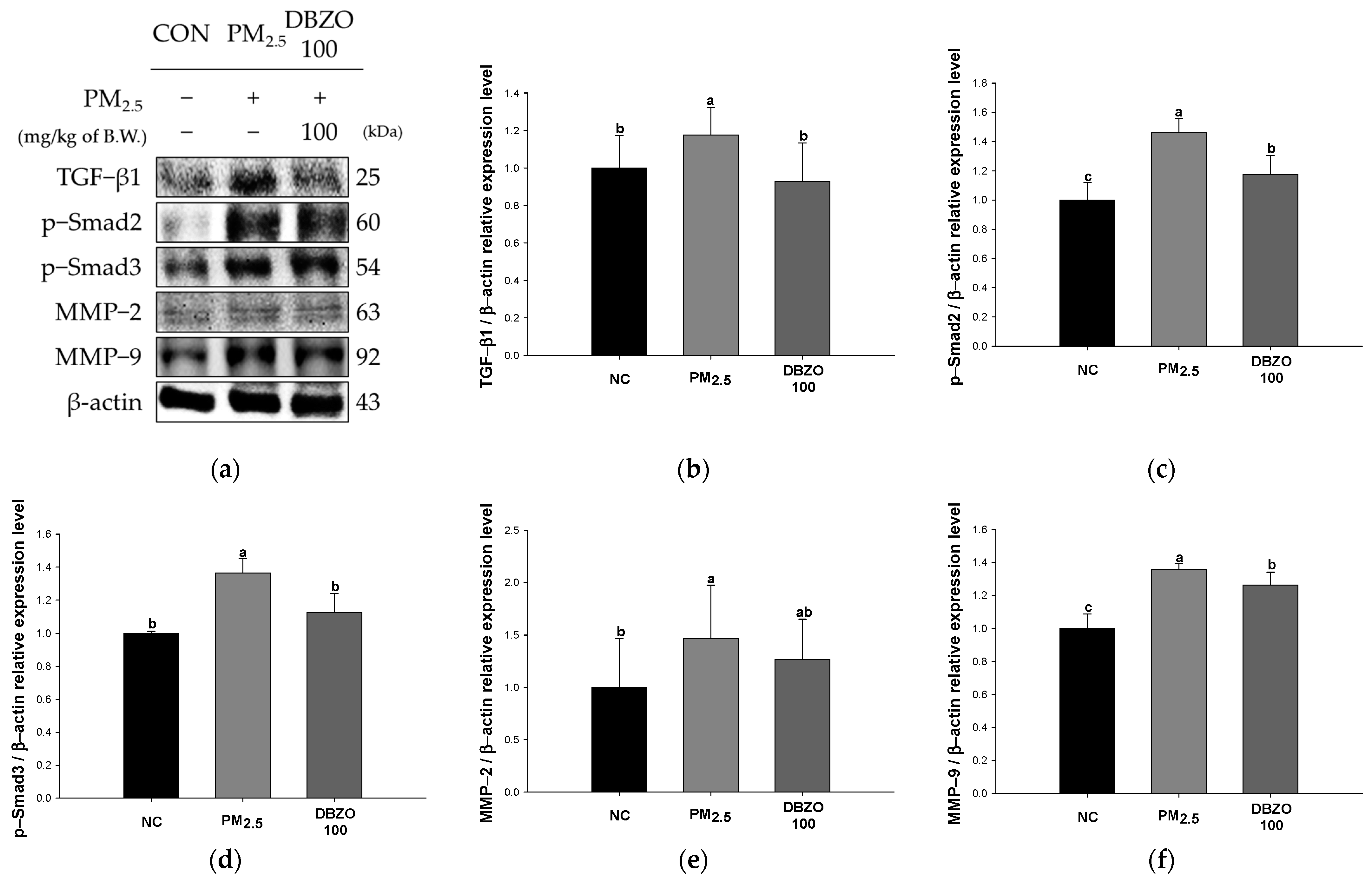 Antioxidants 13 01572 g009