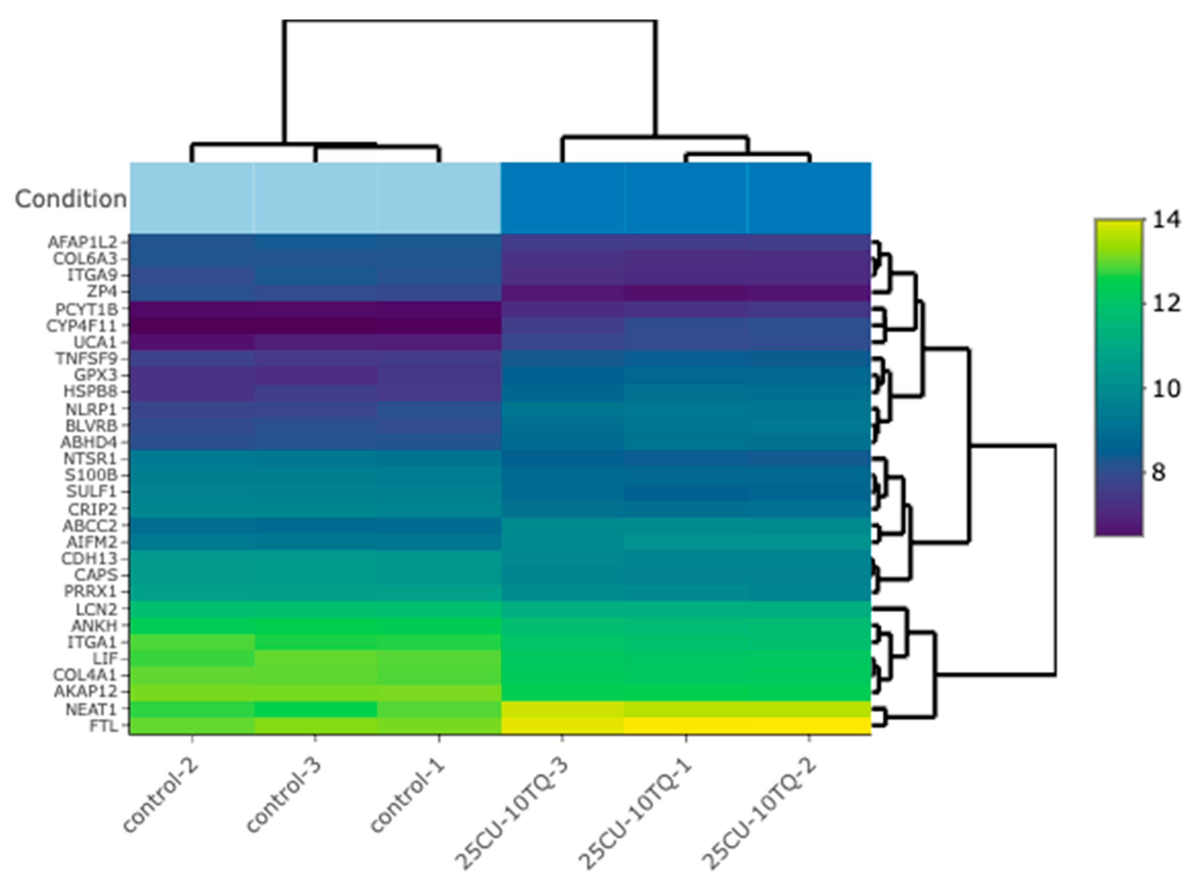 Antioxidants 13 01573 g007