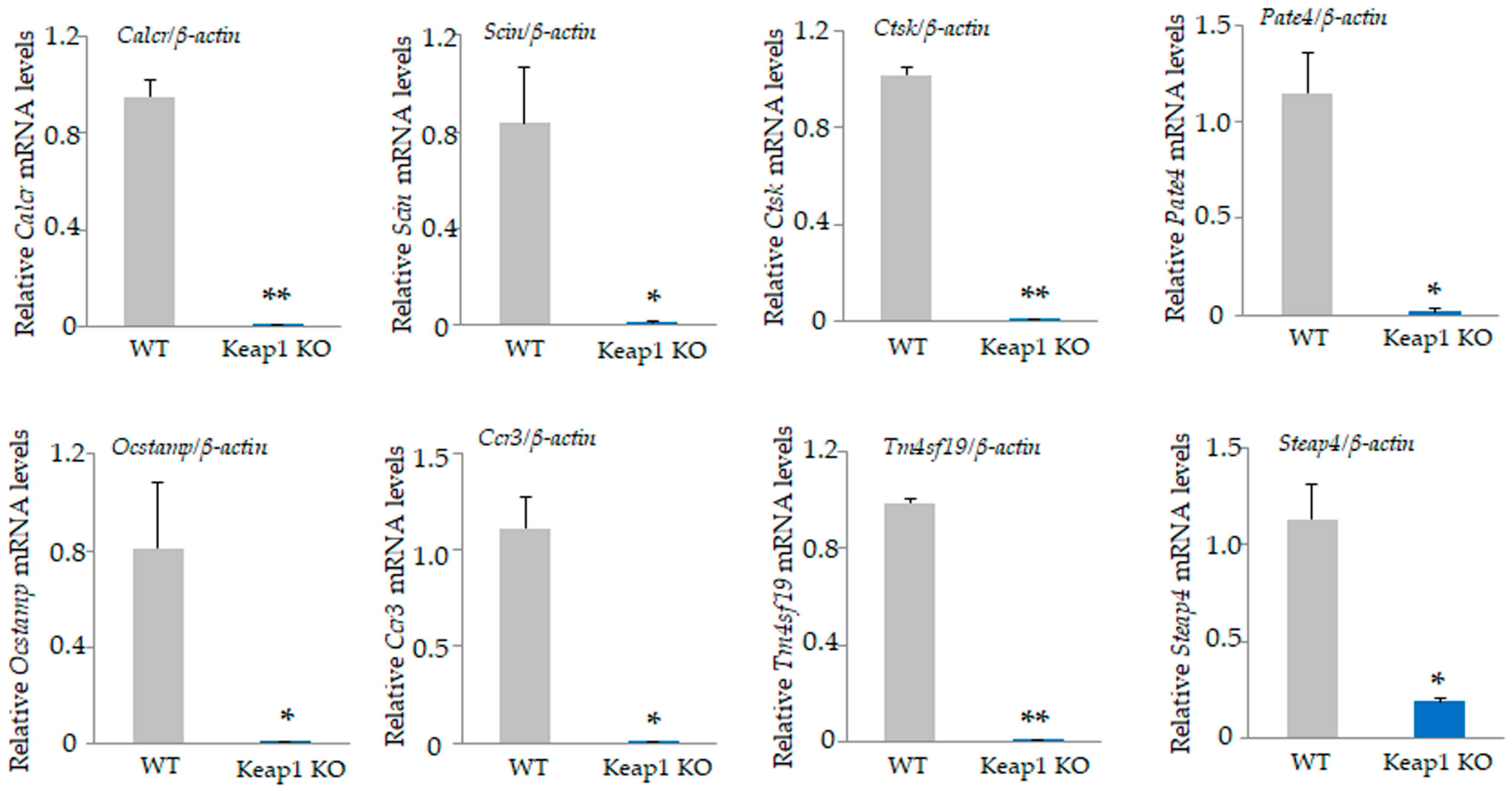 Antioxidants 13 01575 g003
