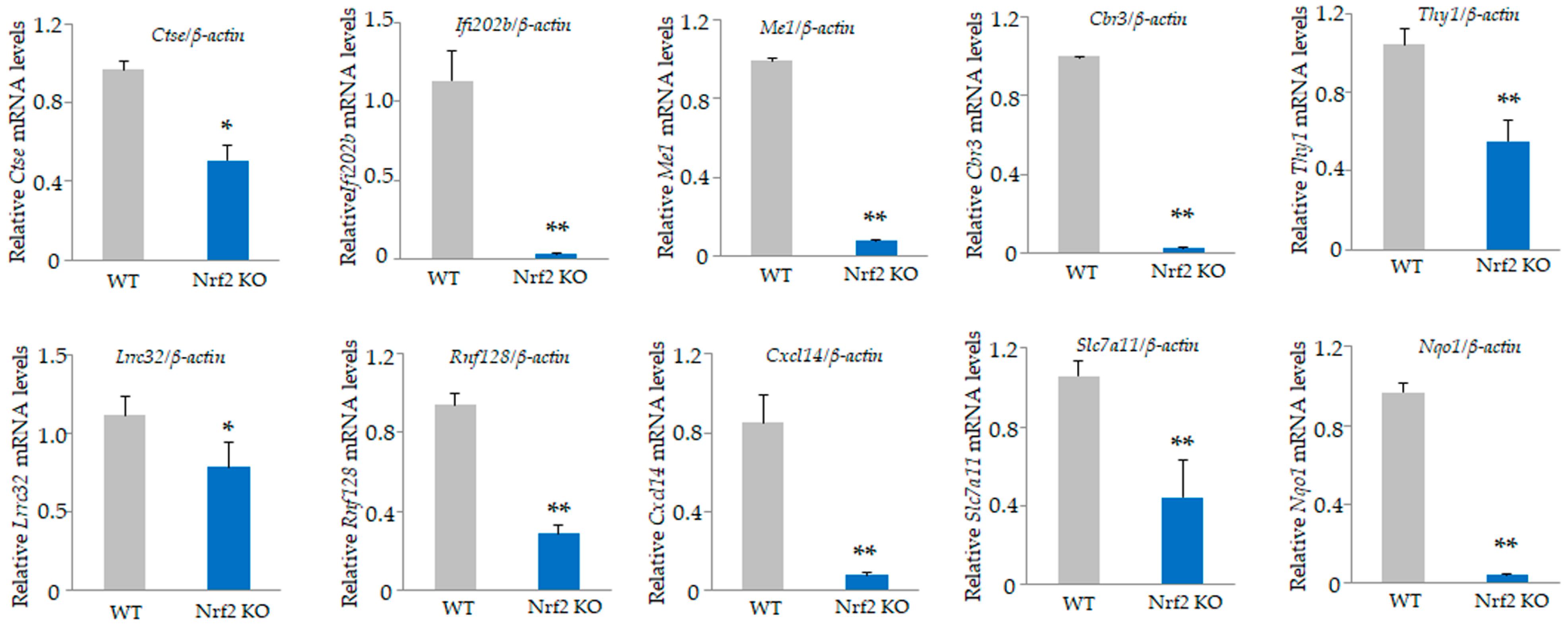 Antioxidants 13 01575 g005