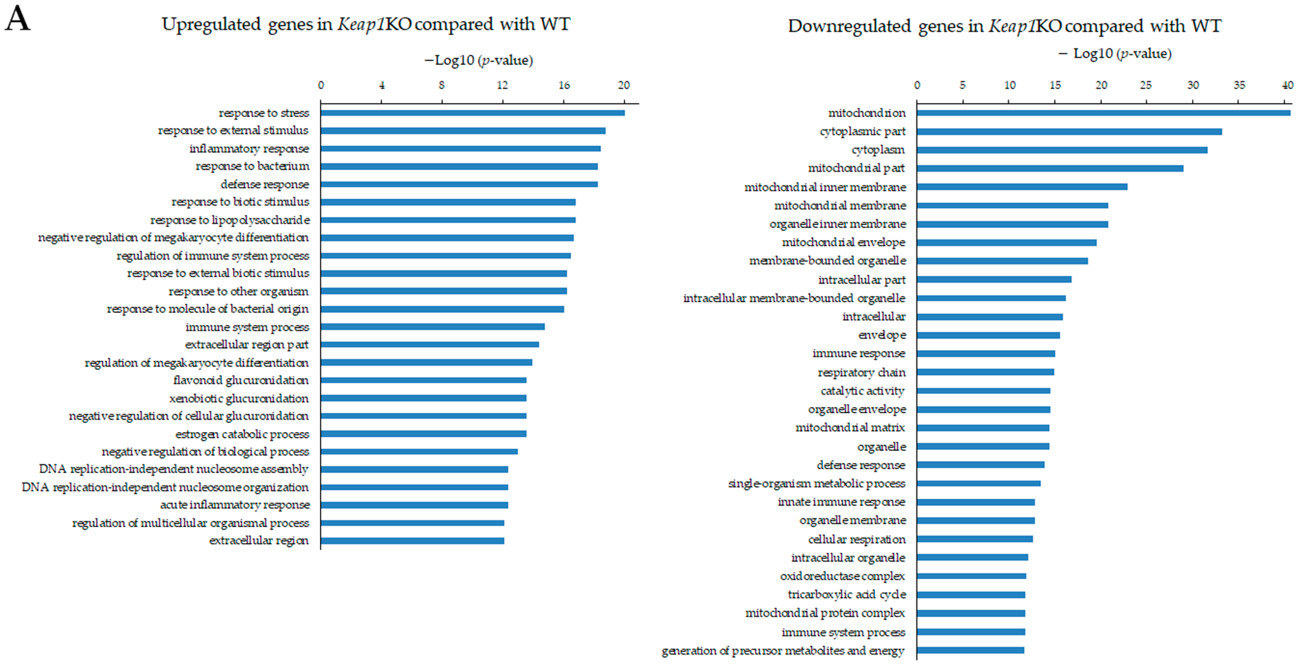 Antioxidants 13 01575 g008a