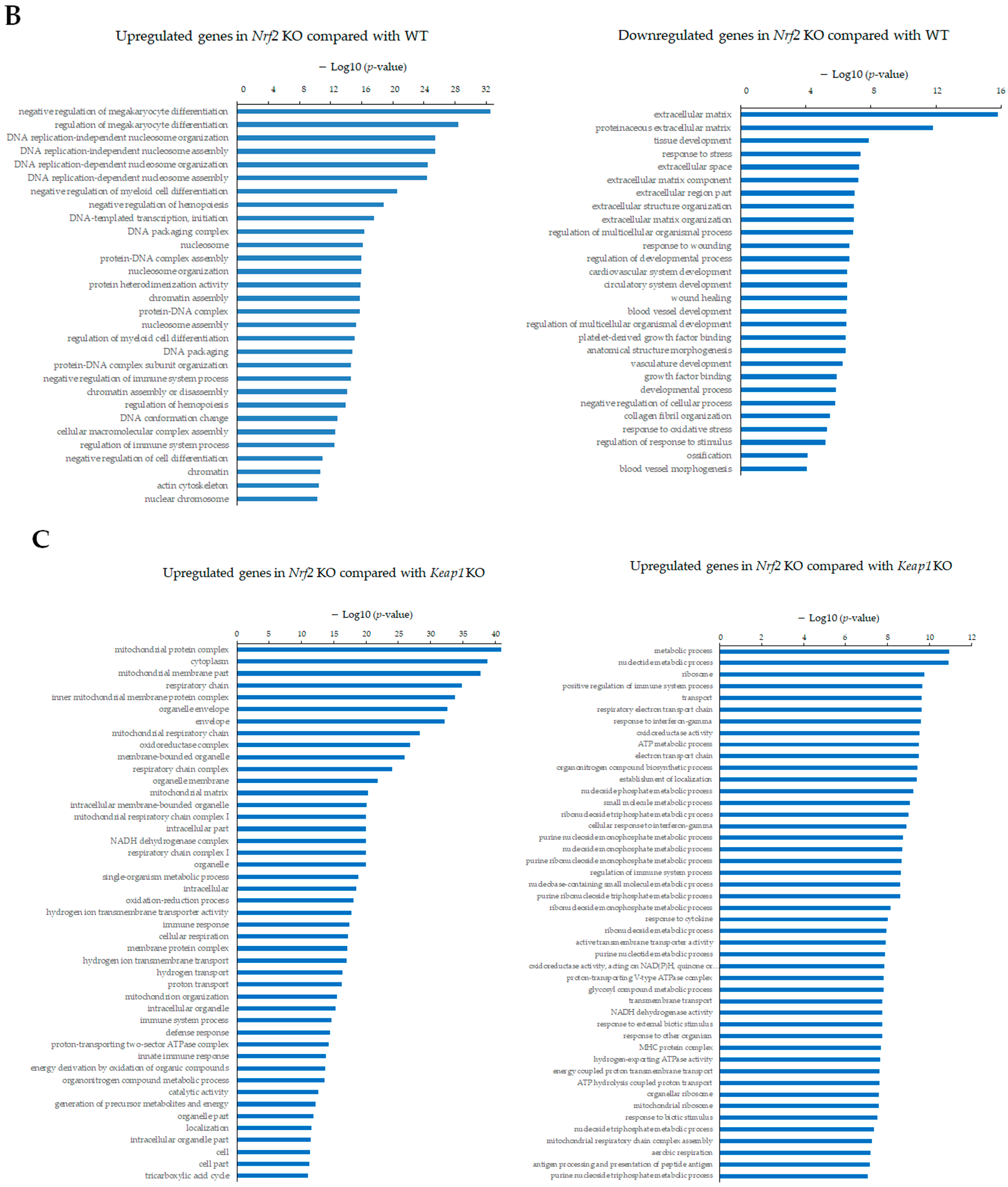 Antioxidants 13 01575 g008b