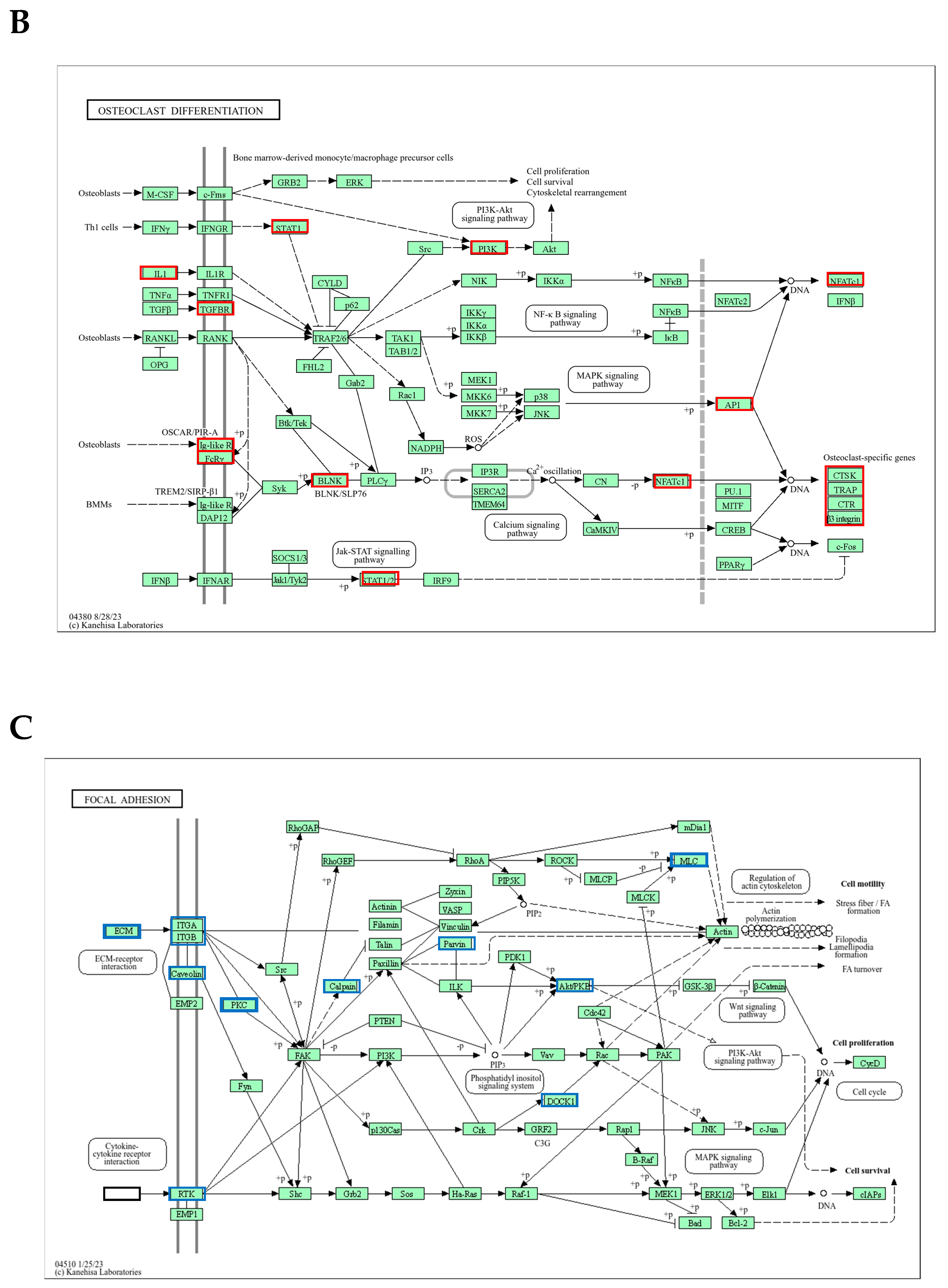 Antioxidants 13 01575 g009b