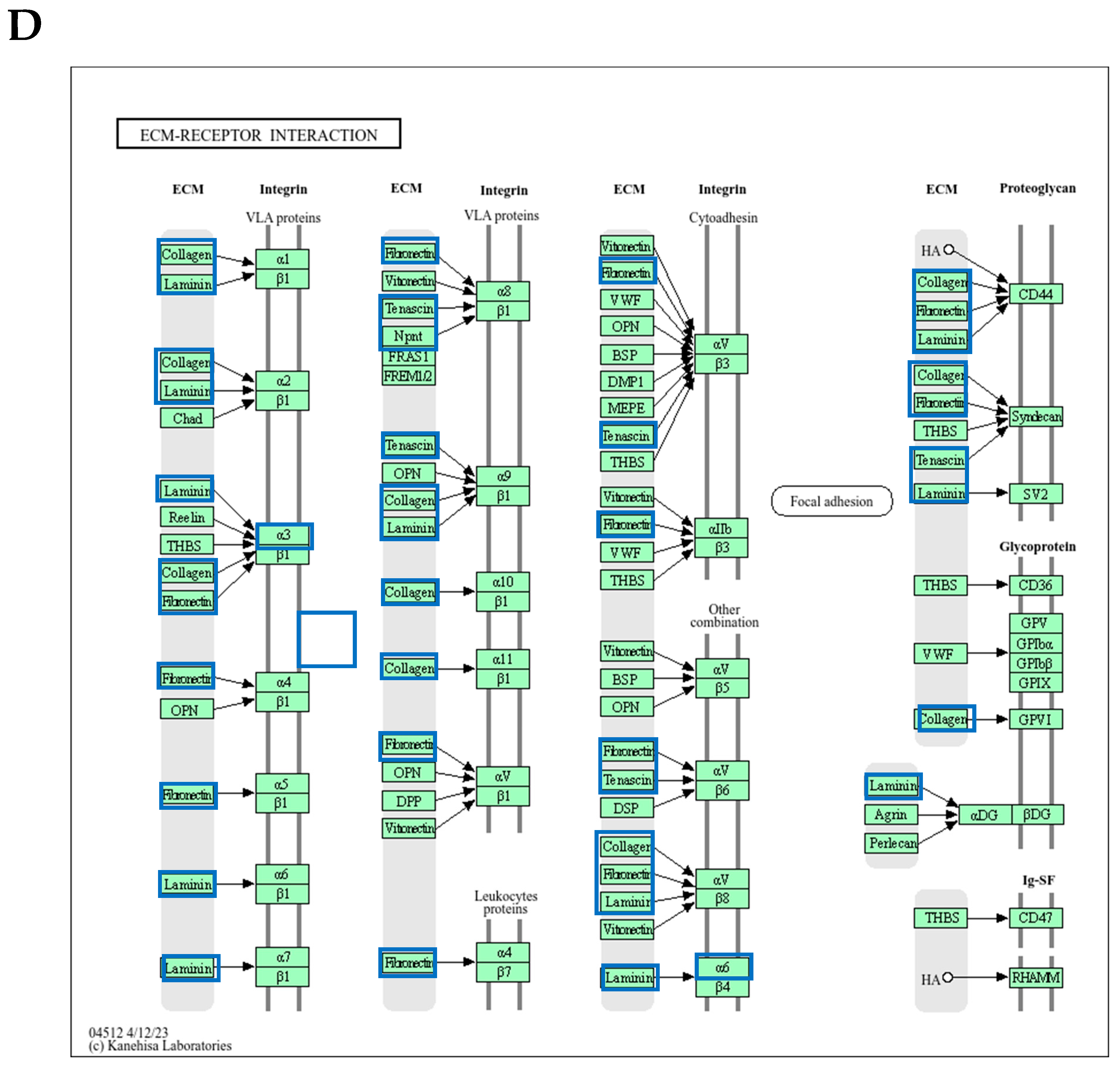 Antioxidants 13 01575 g009c
