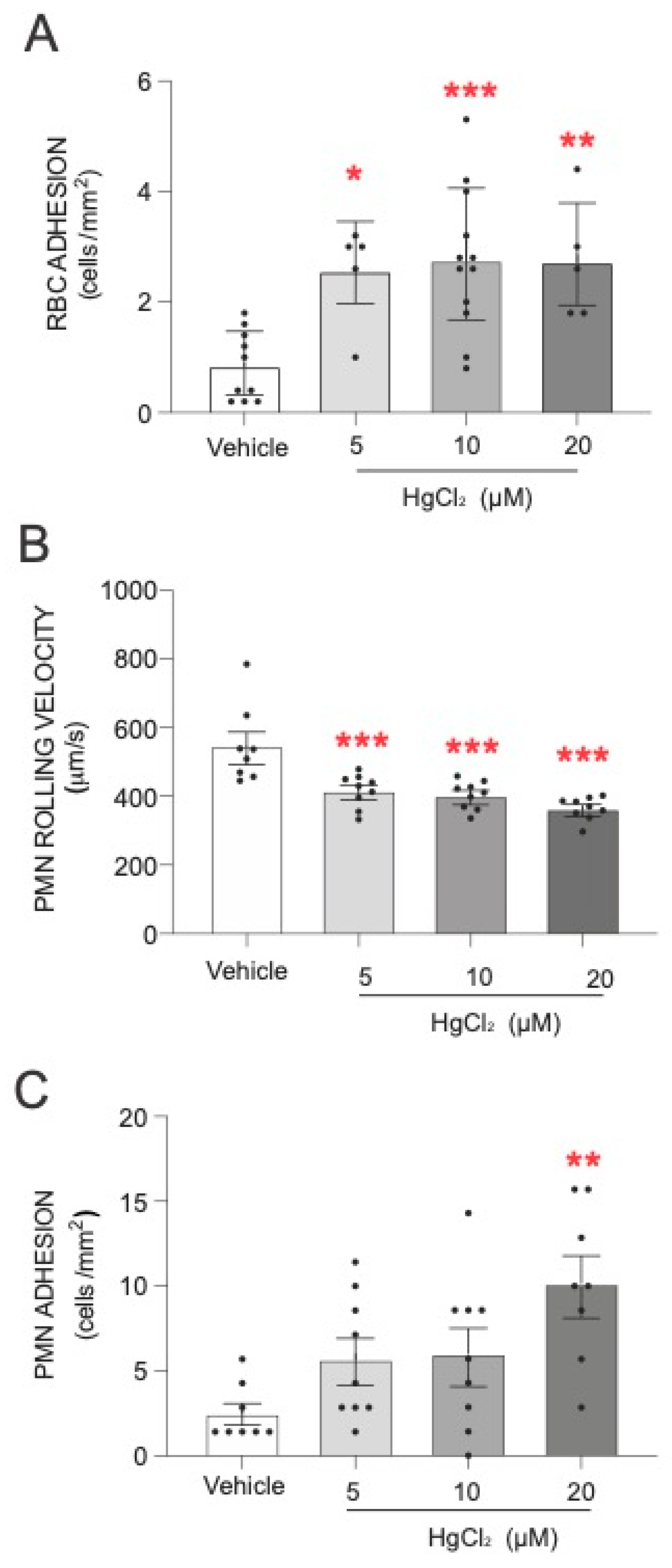 Antioxidants 13 01576 g001 Antioxidants 13 01576 g001
