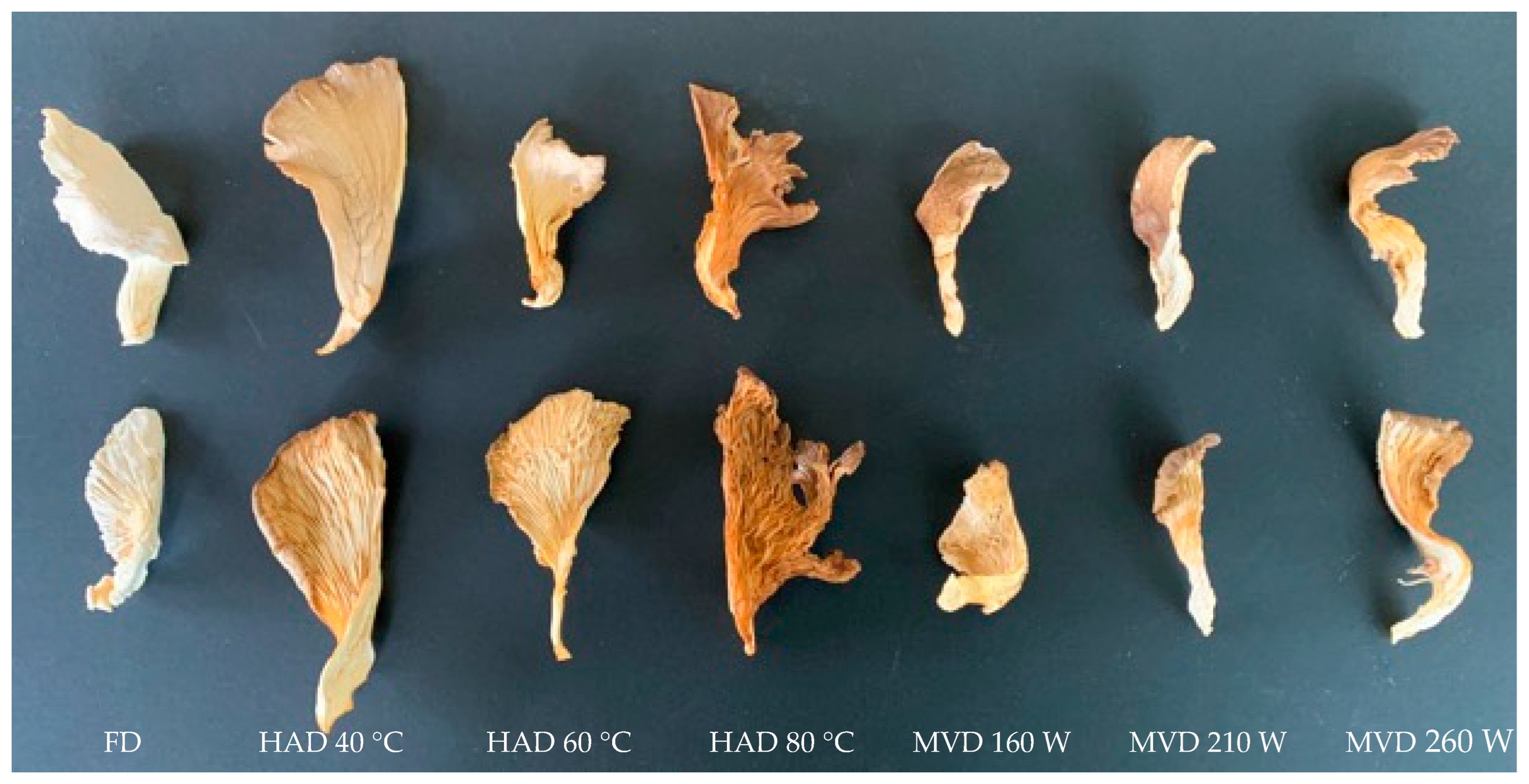 Antioxidants 13 01581 g002