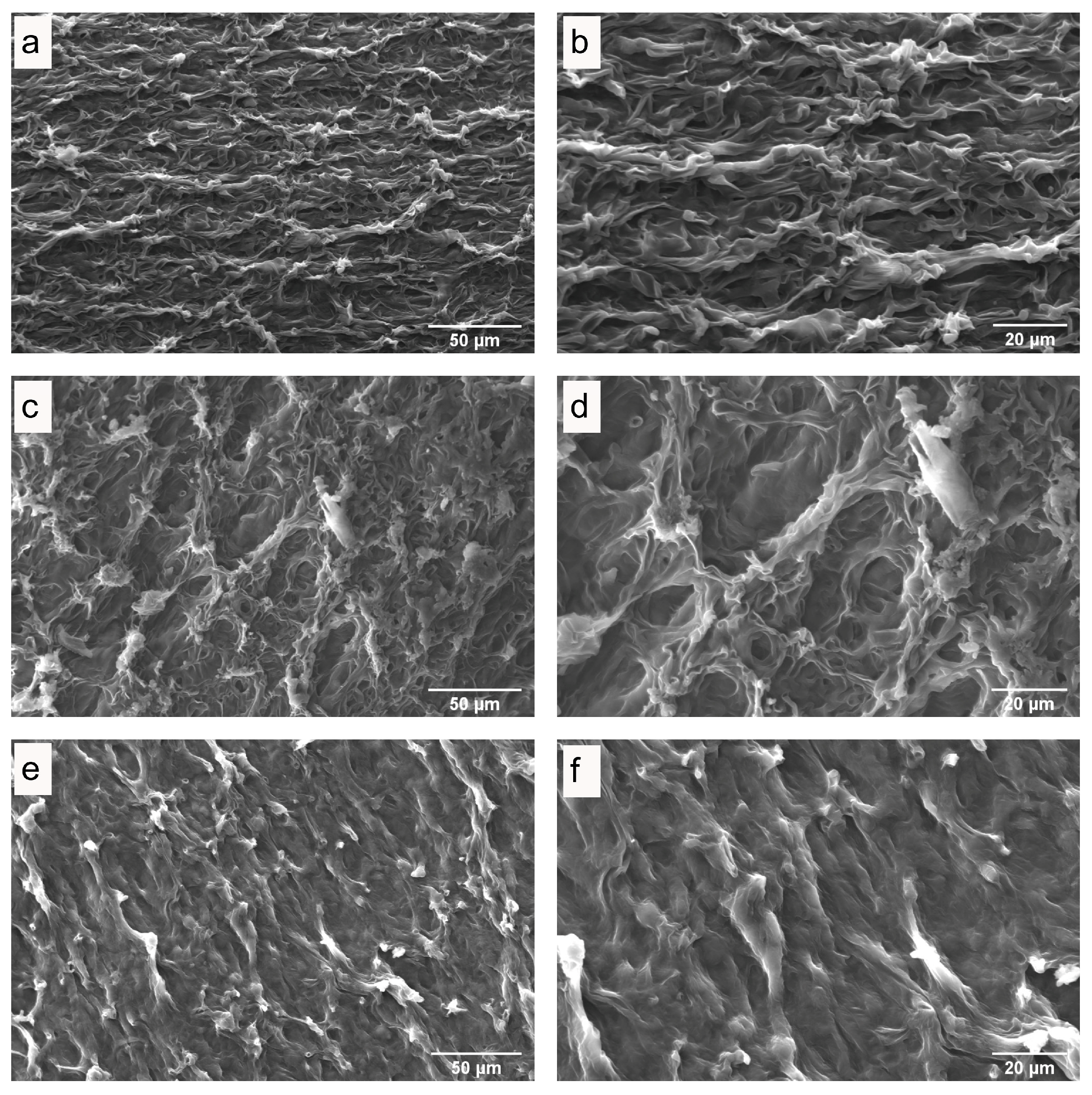 Antioxidants 13 01581 g005
